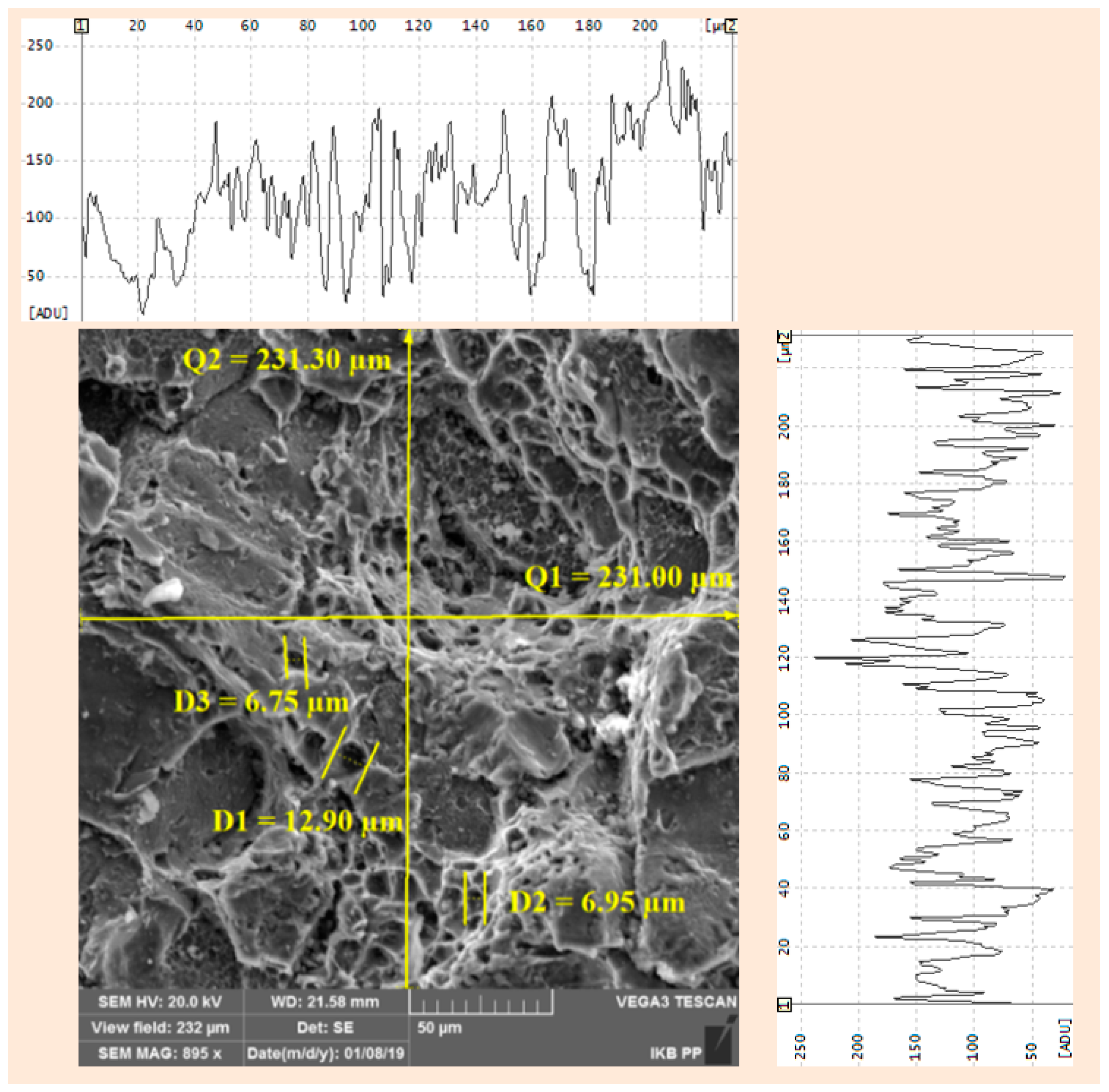 Metals 09 00324 g010