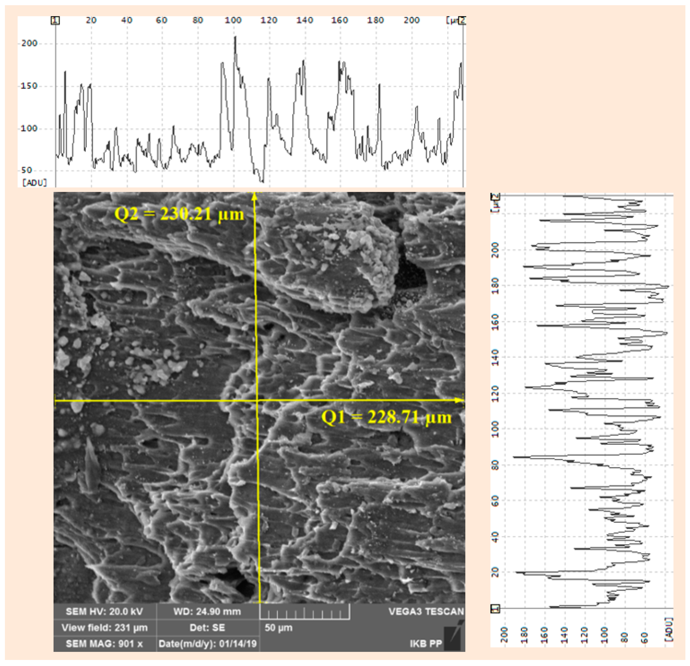 Metals 09 00324 g012