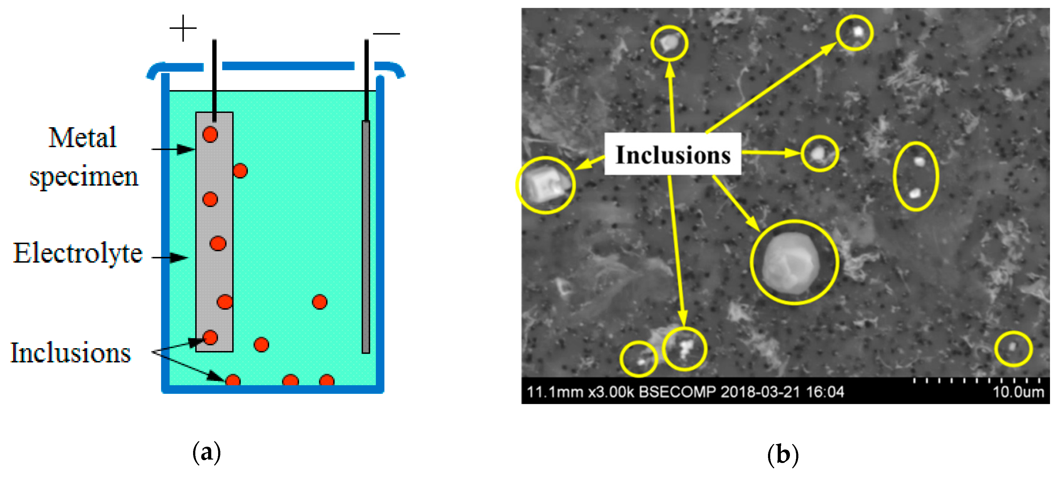 Metals 09 00391 g002