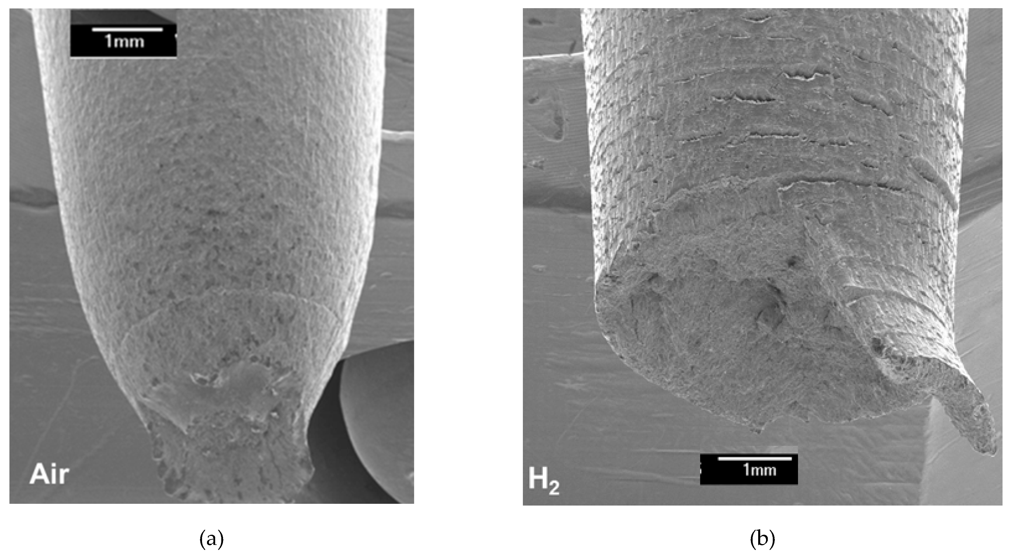 Metals 09 00406 g001