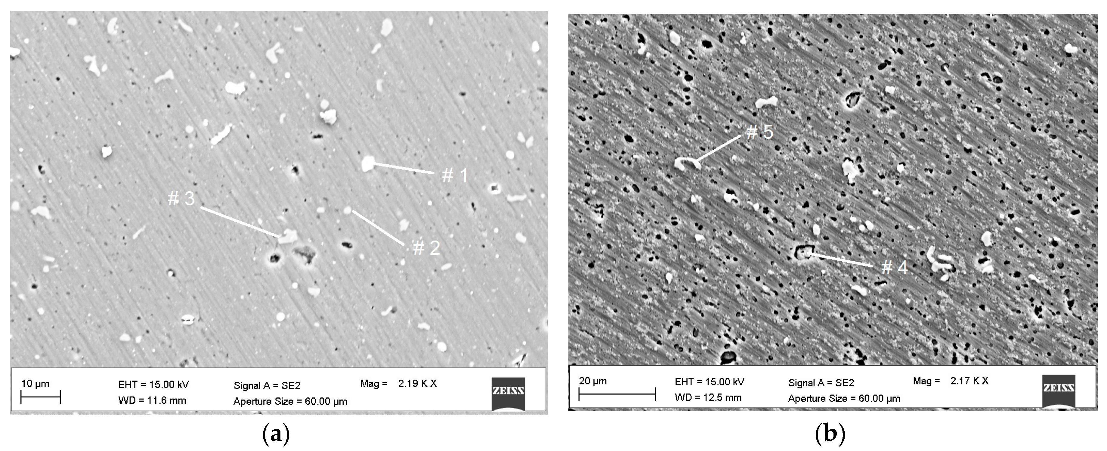 Metals 09 00408 g010