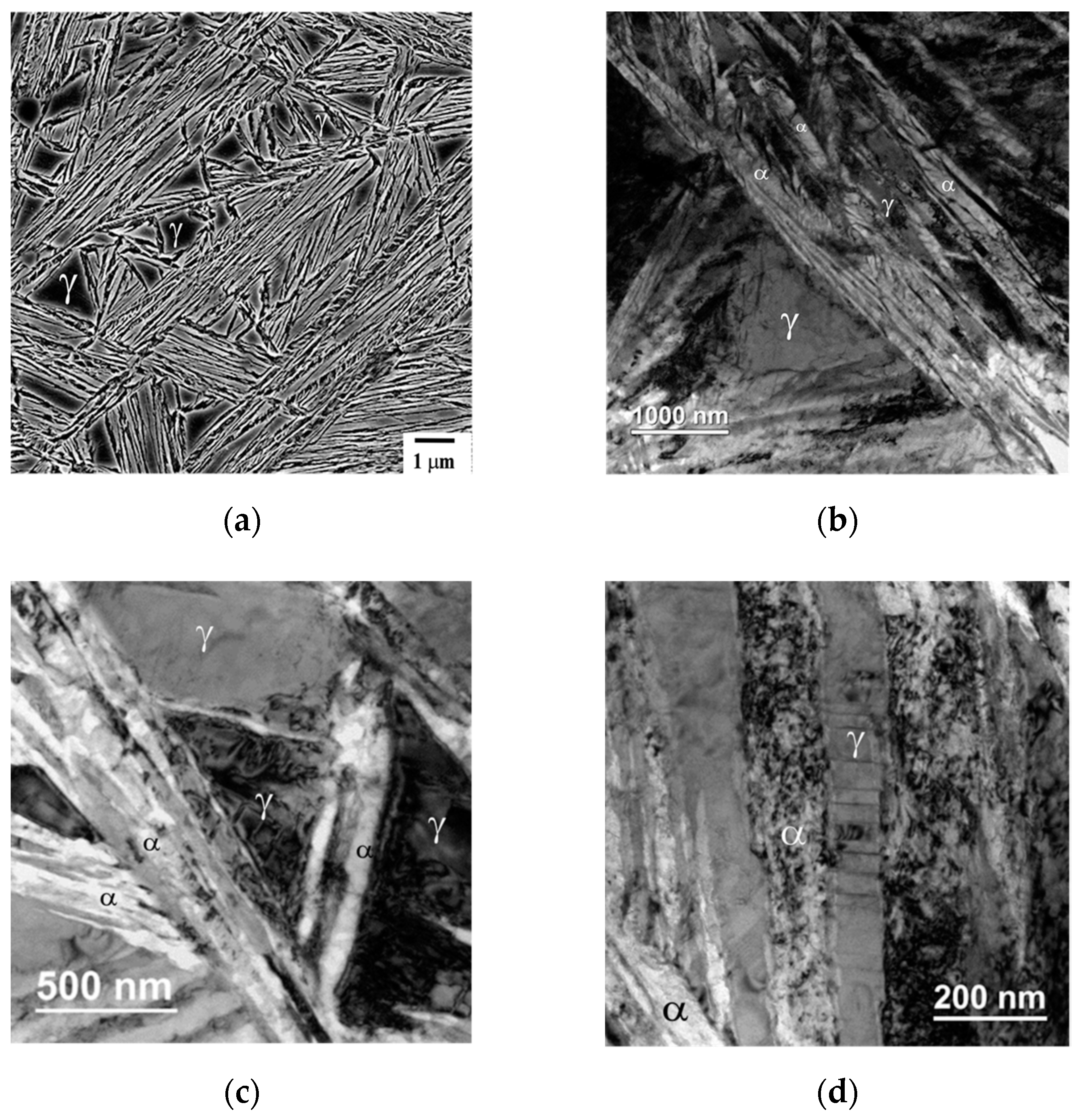 Metals 09 00426 g001