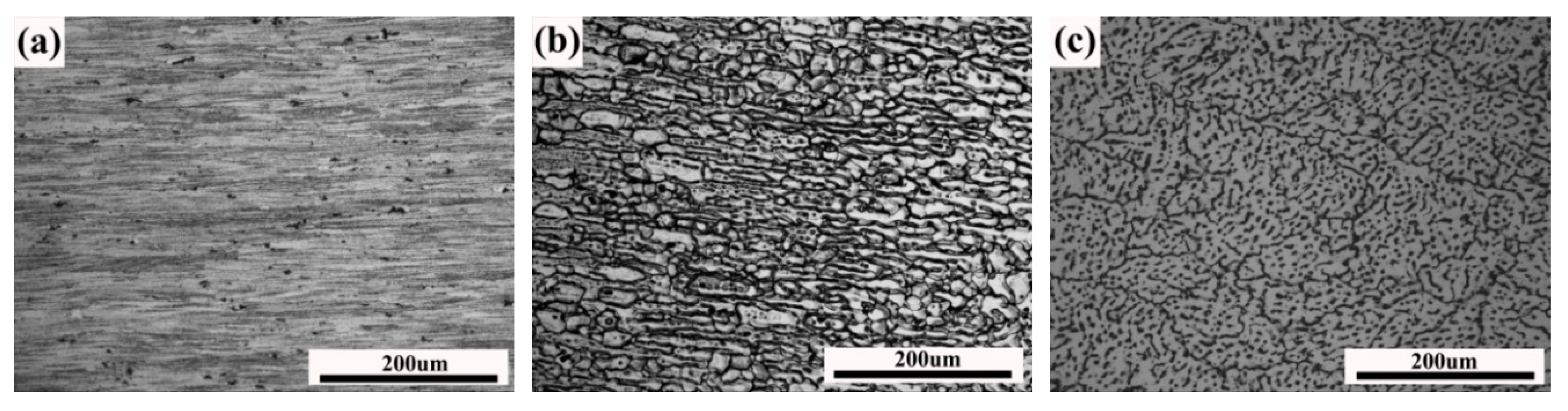 Metals 09 00428 g003