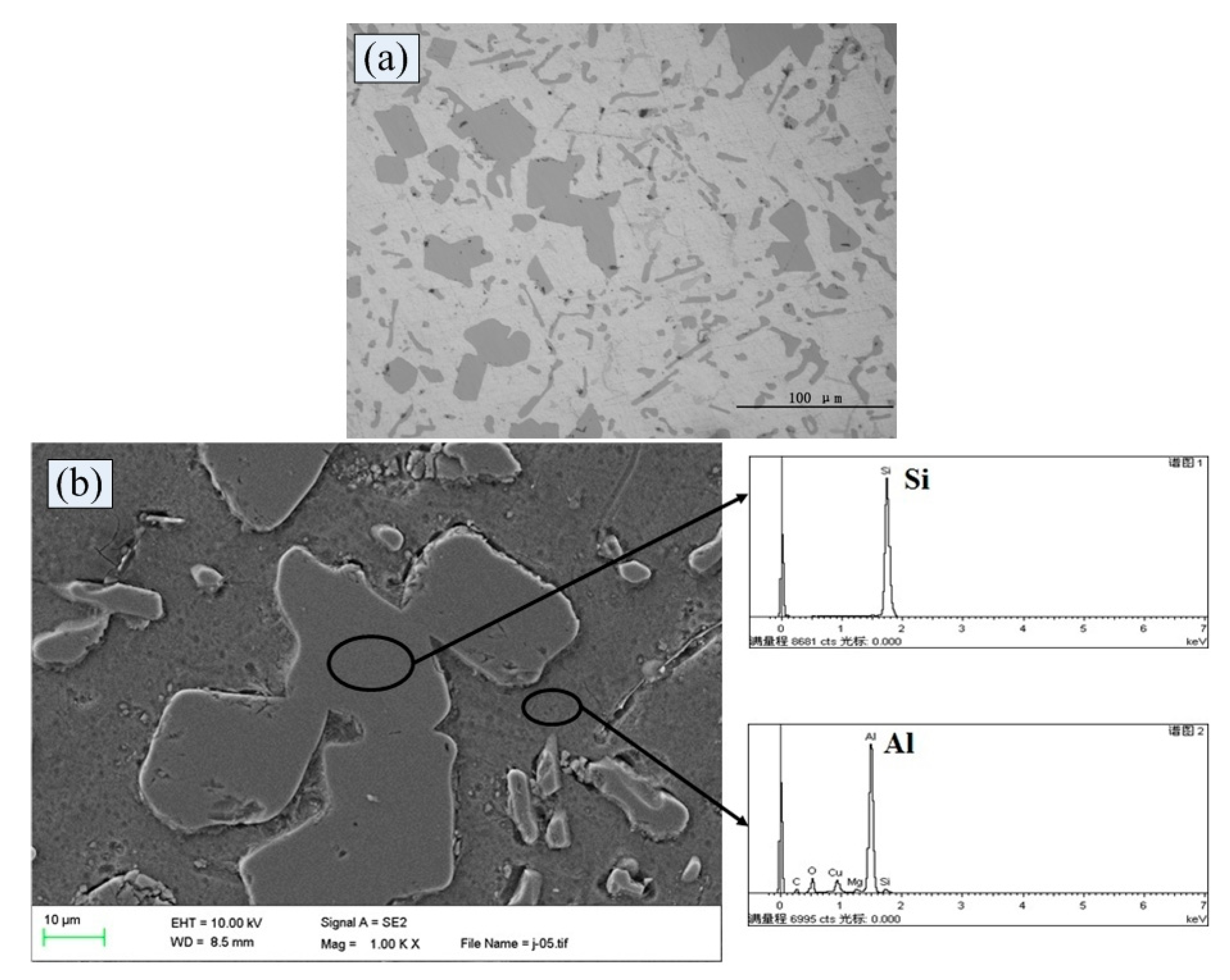 Metals 09 00431 g002