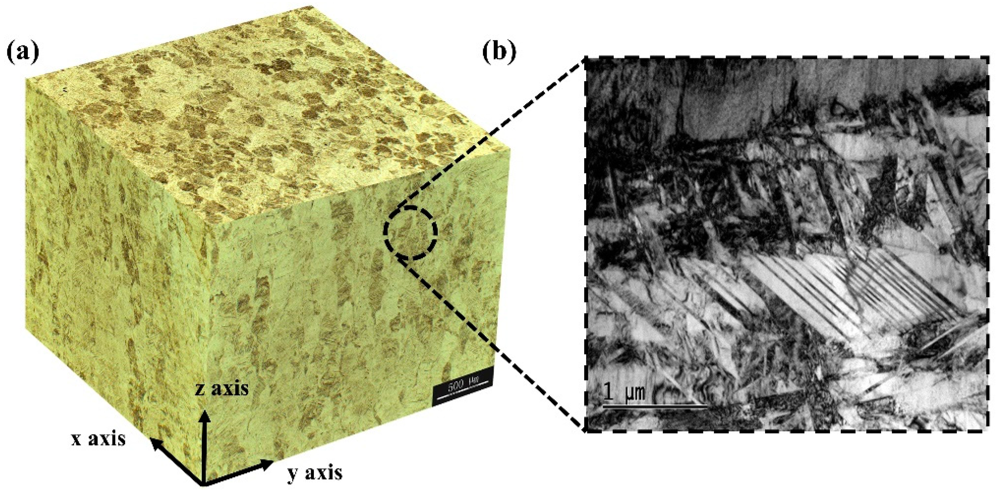 Metals 09 00447 g003
