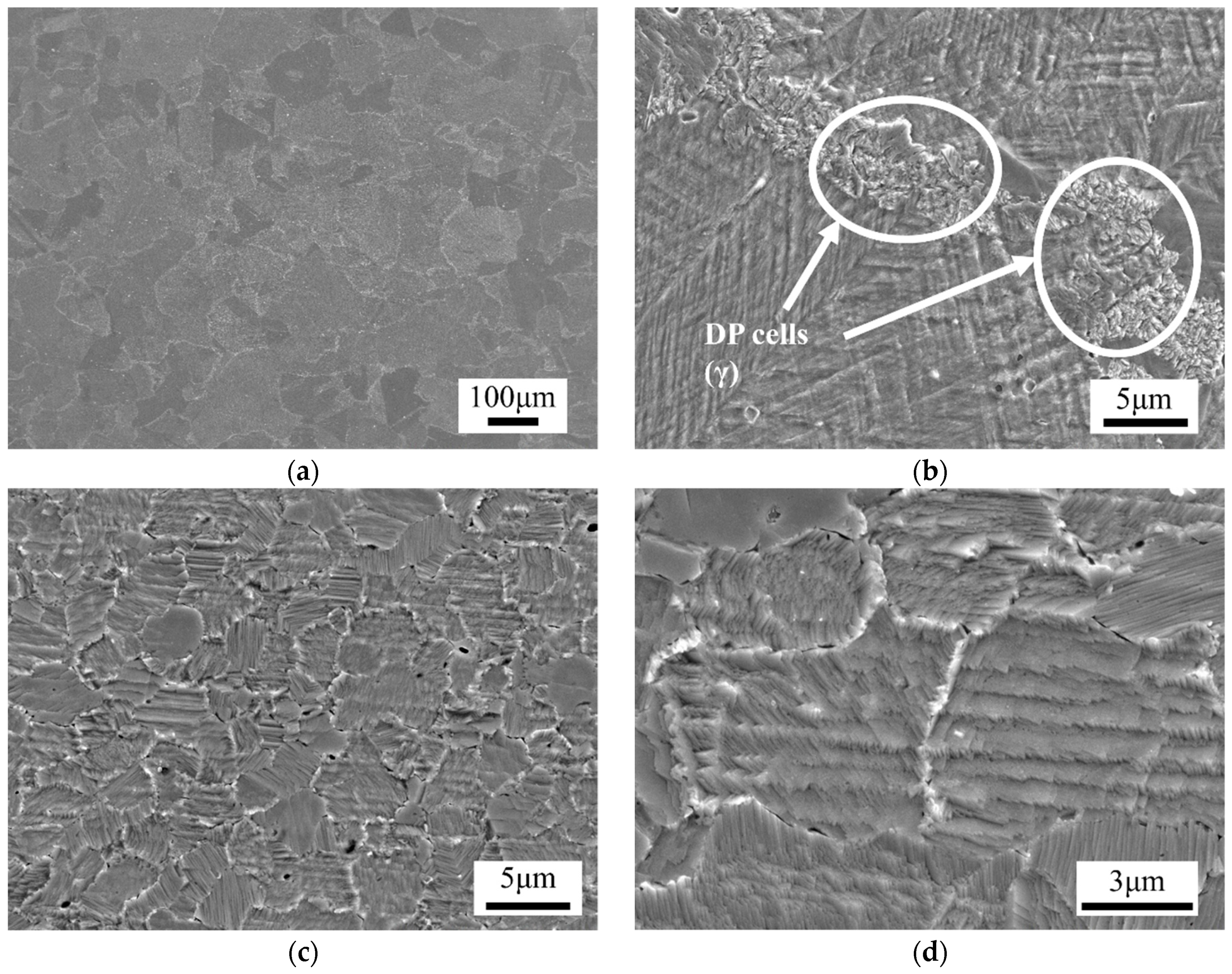 Metals 09 00461 g007 Metals 09 00461 g007