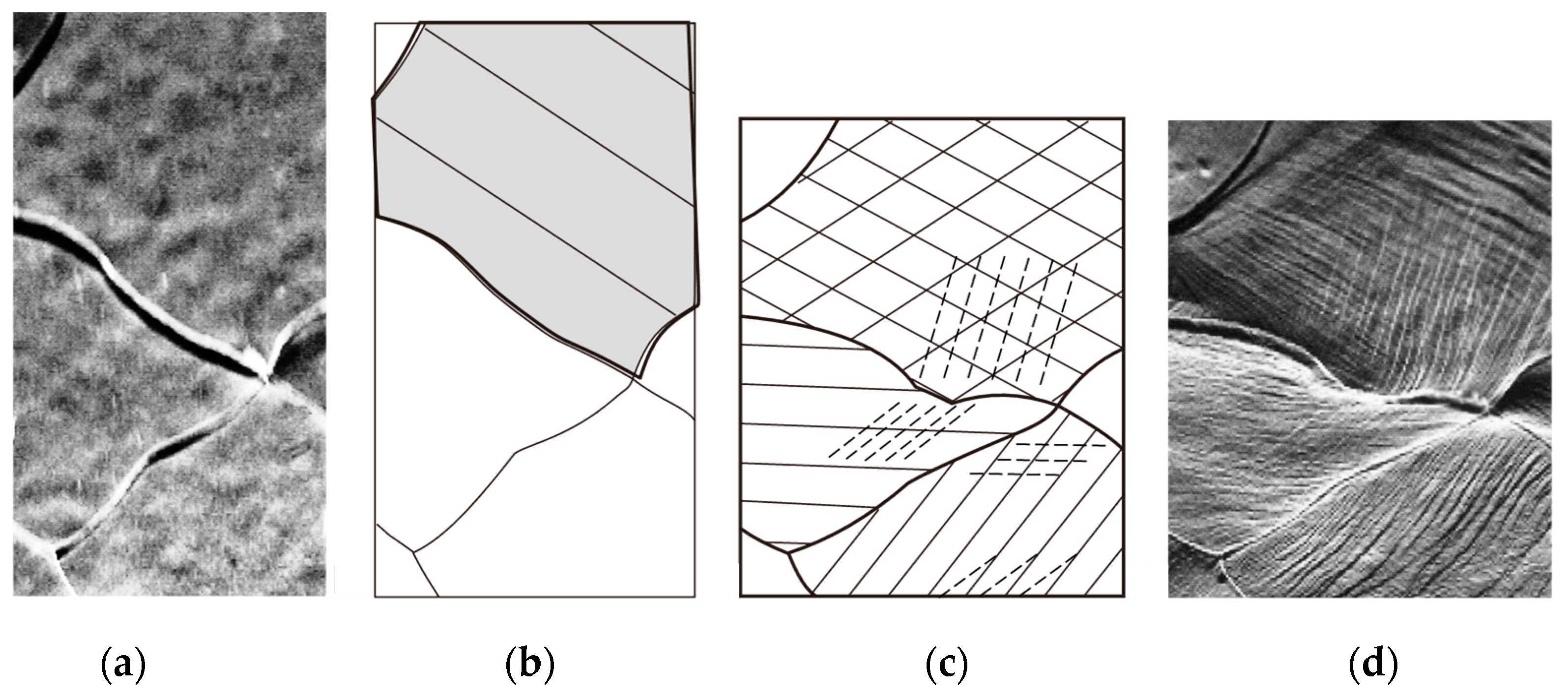Metals 09 00477 g001