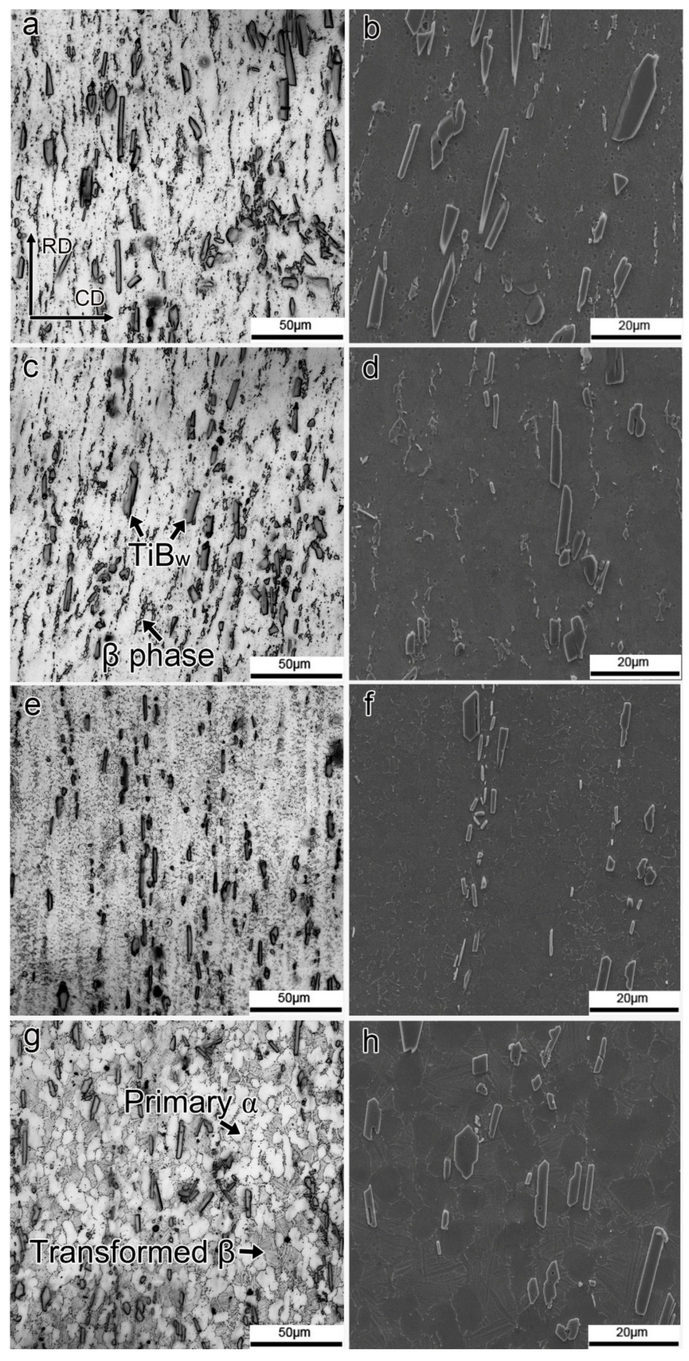 Metals 09 00481 g005