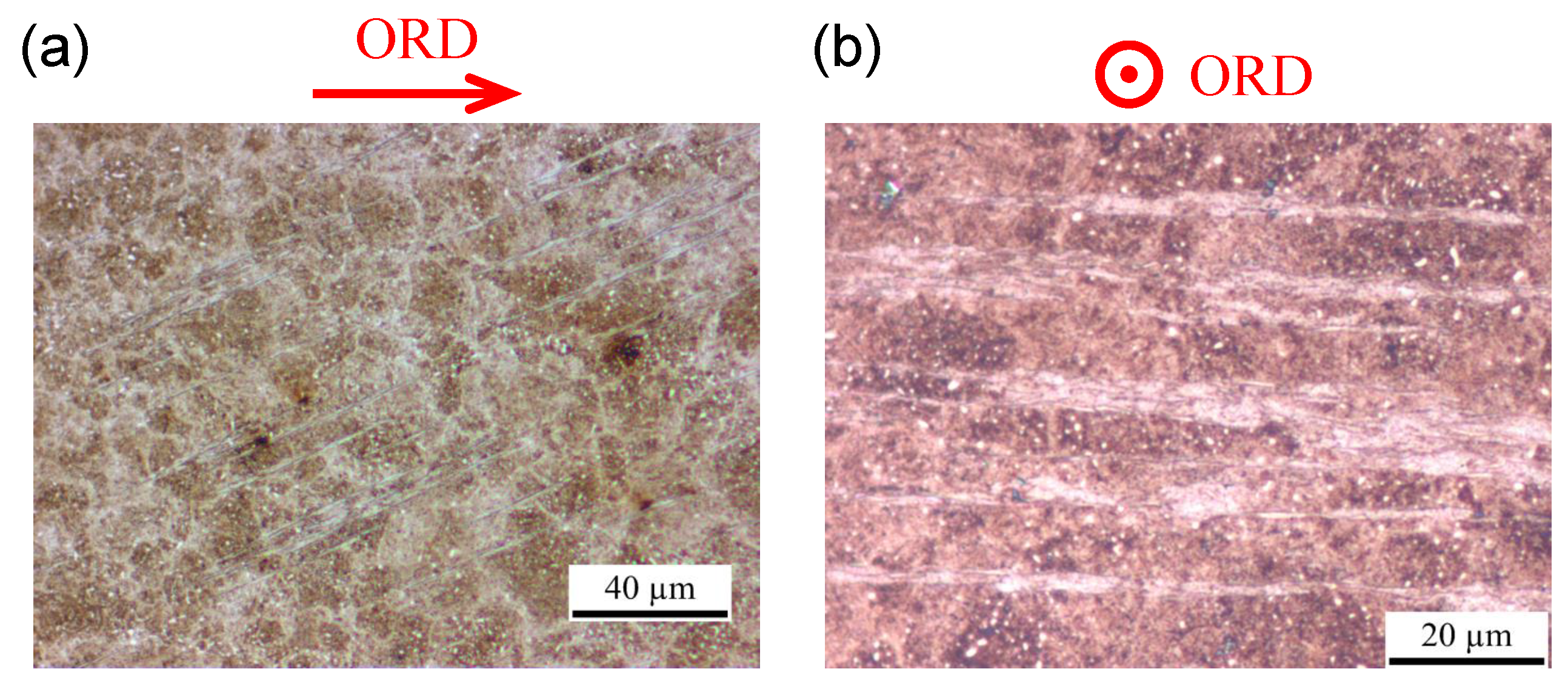 Metals 09 00491 g001