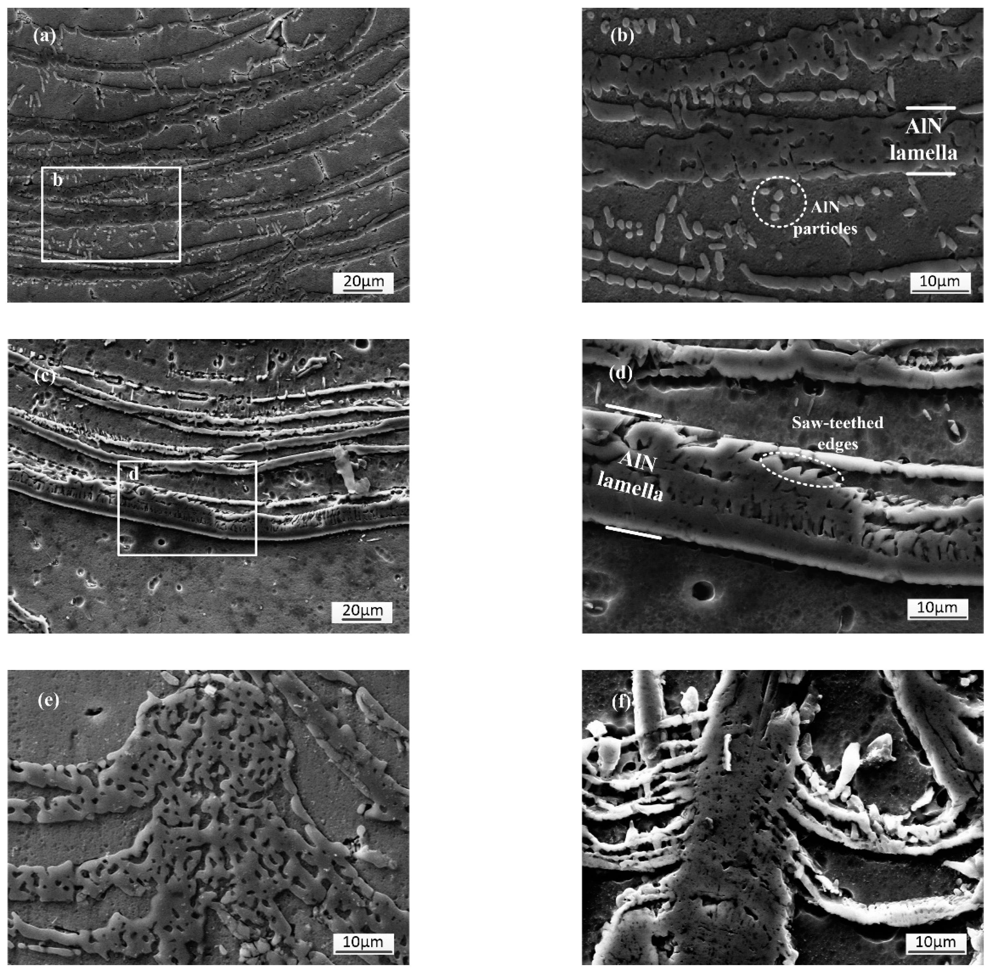 Metals 09 00523 g007