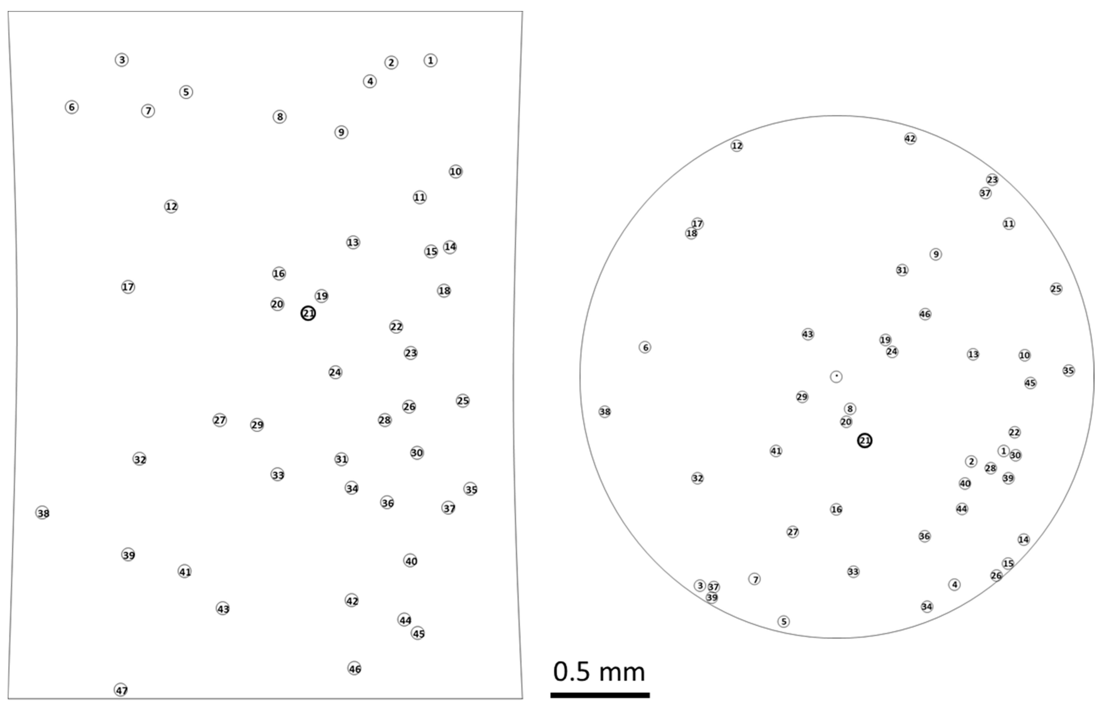 Metals 09 00527 g007