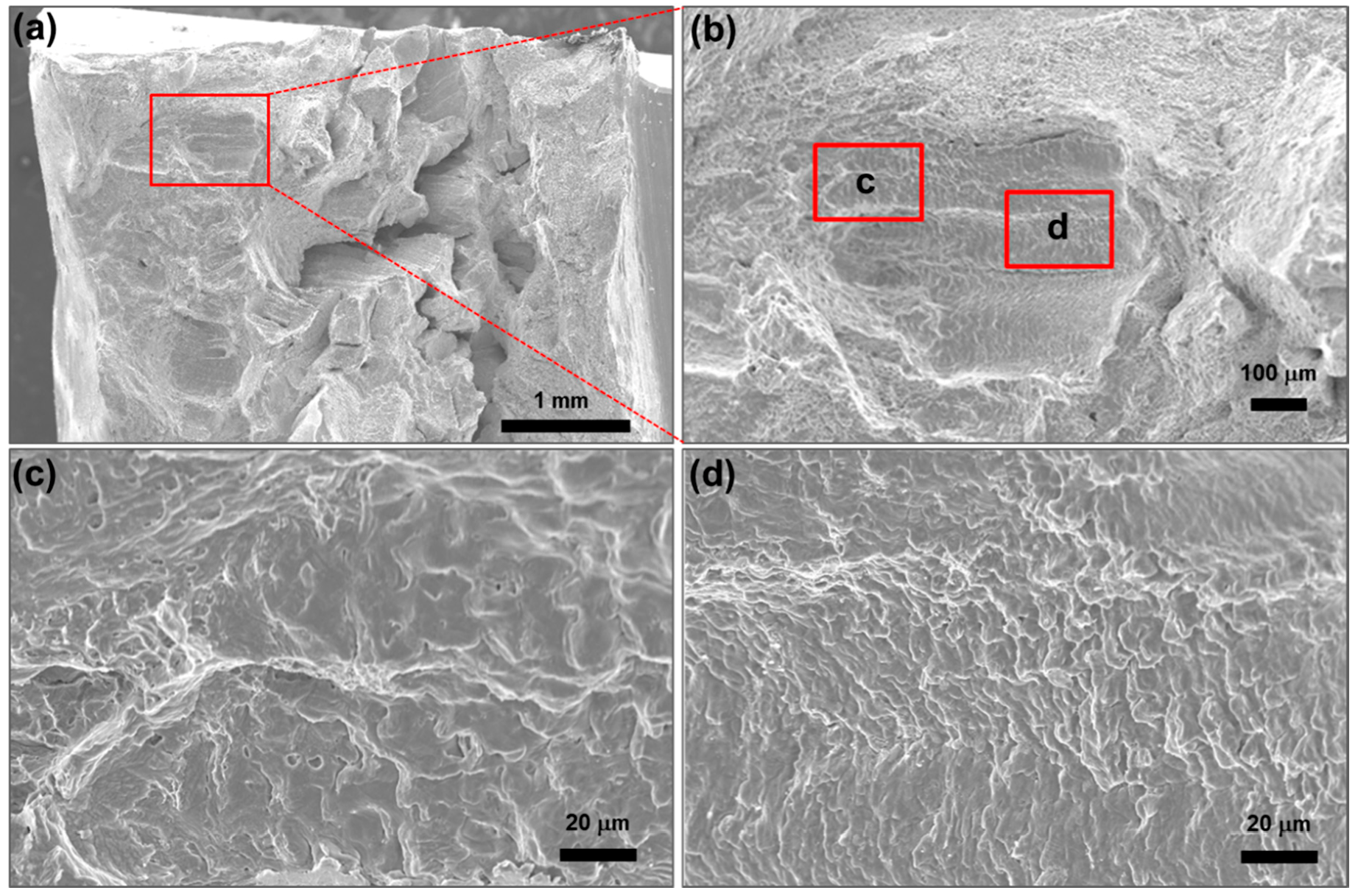 Metals 09 00533 g005