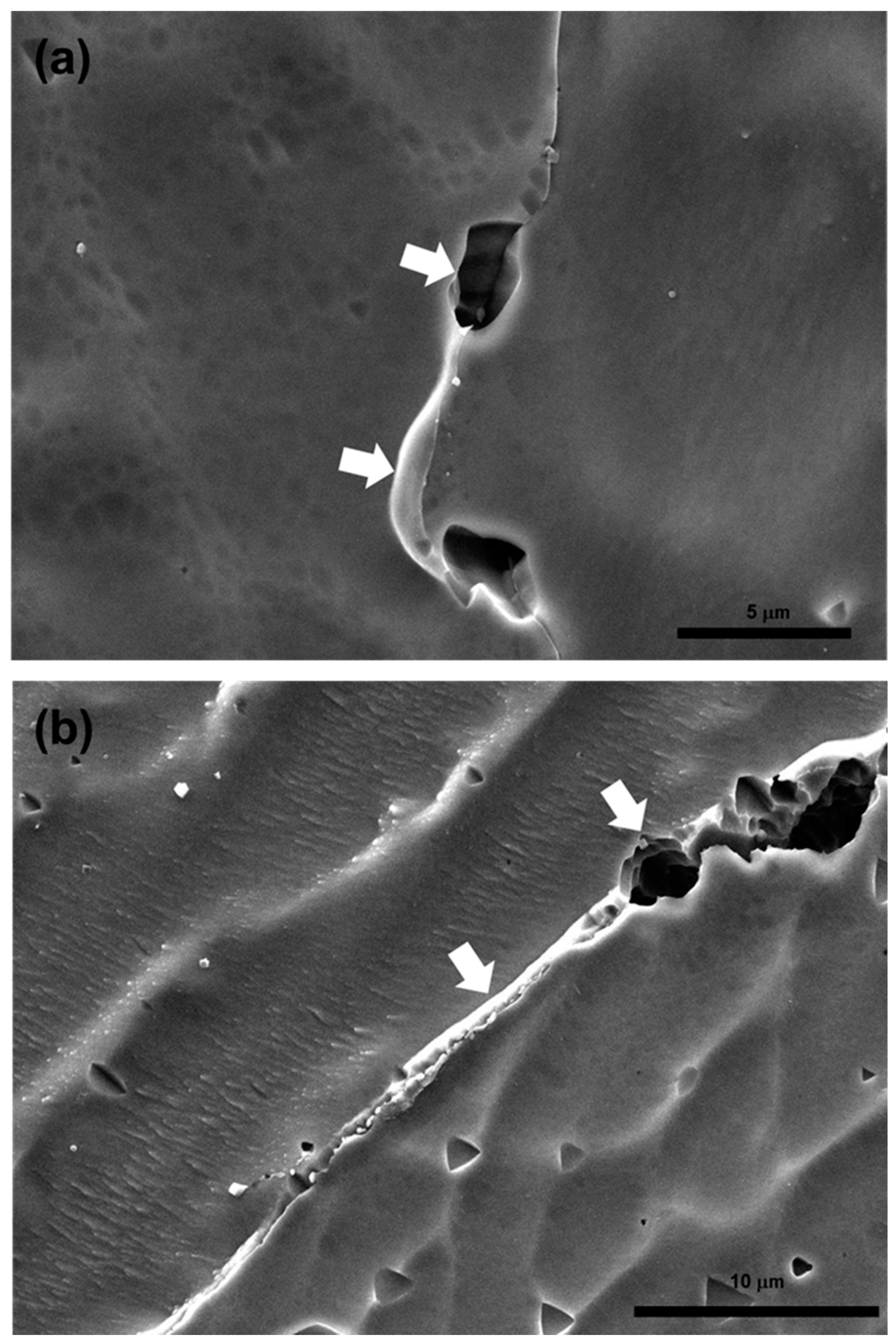 Metals 09 00533 g008