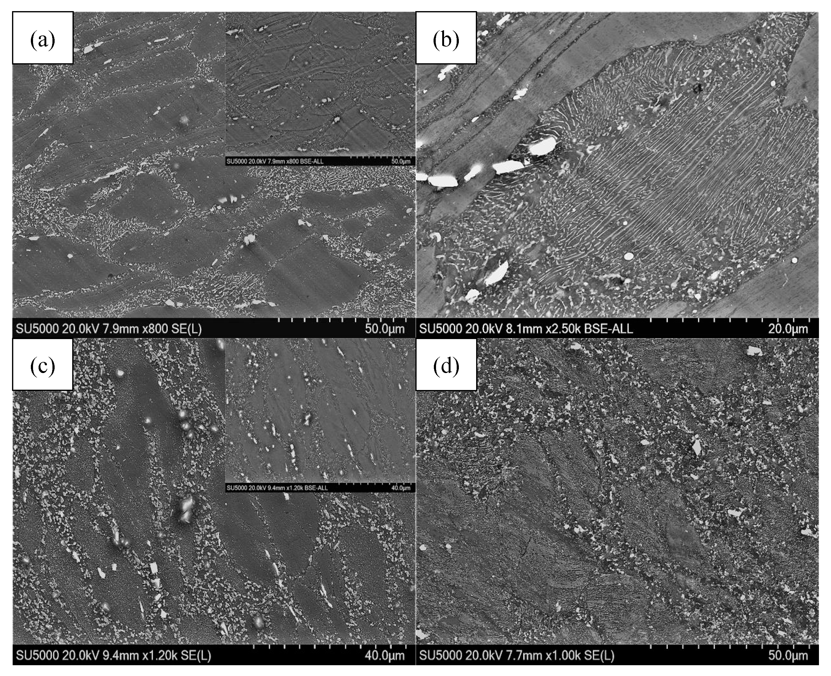 Metals 09 00563 g007