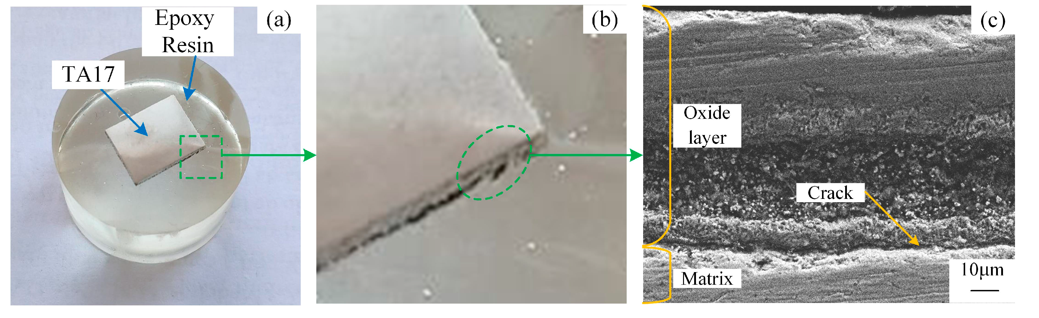 Metals 09 00576 g001