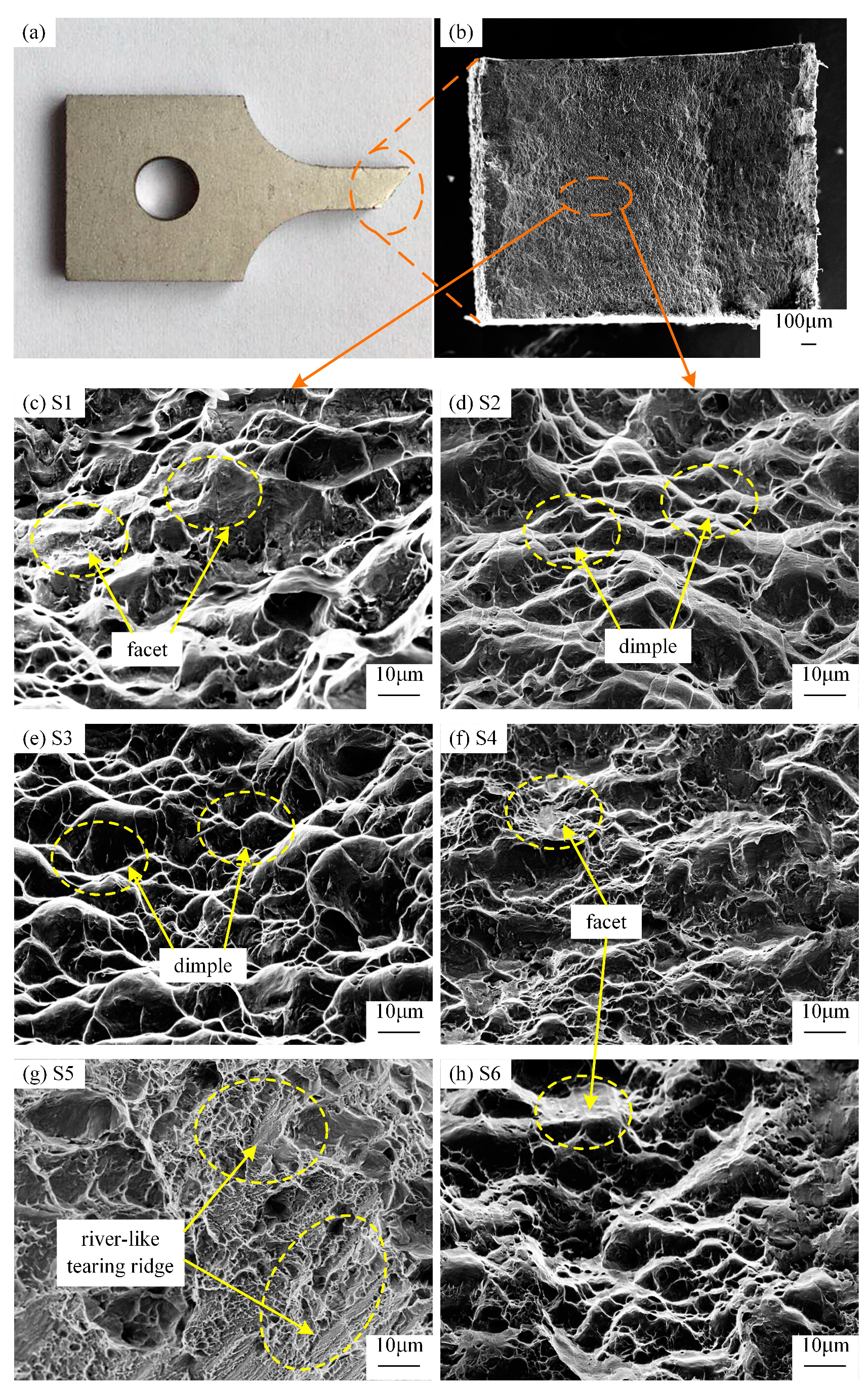 Metals 09 00576 g005