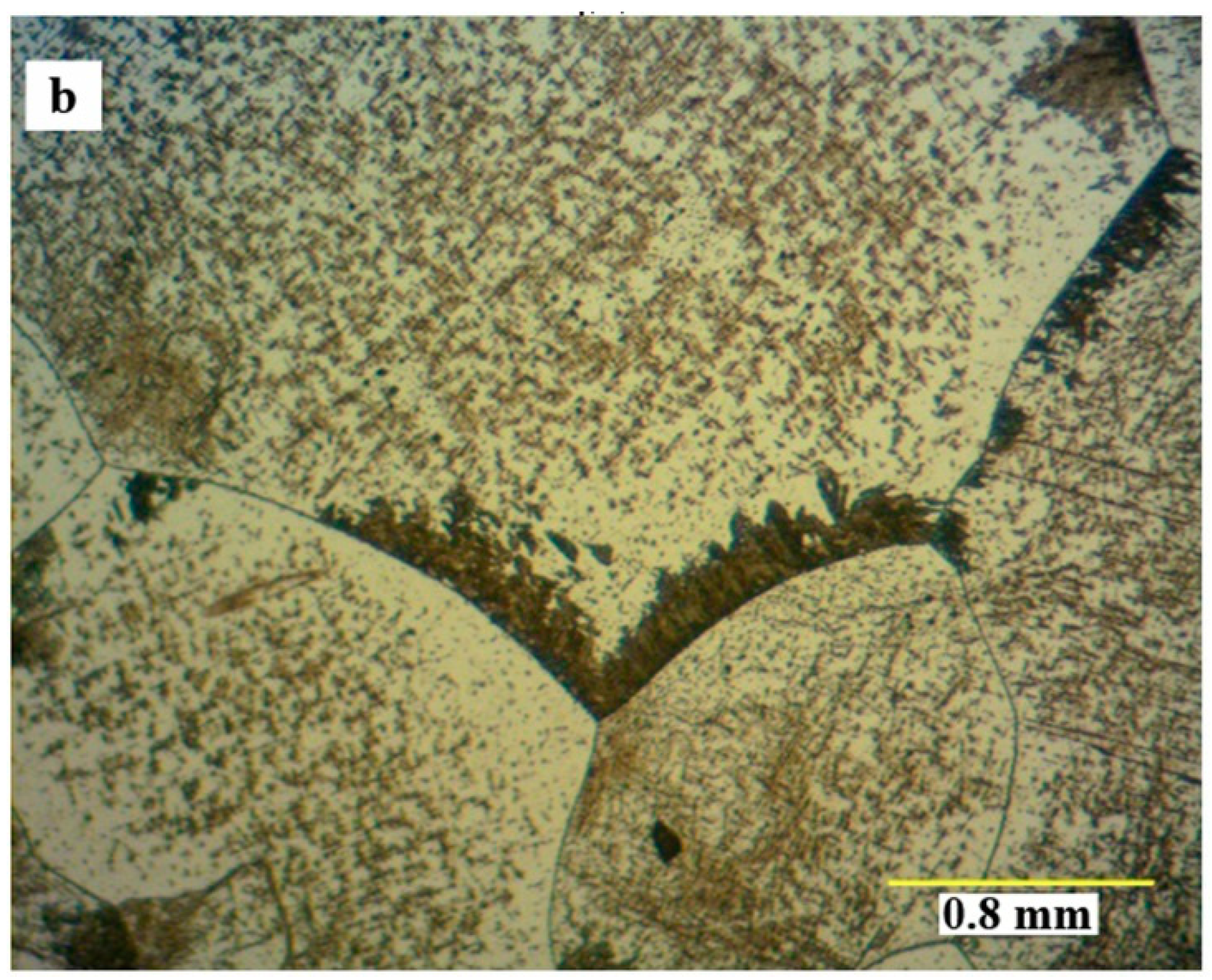 Metals 09 00581 g004b