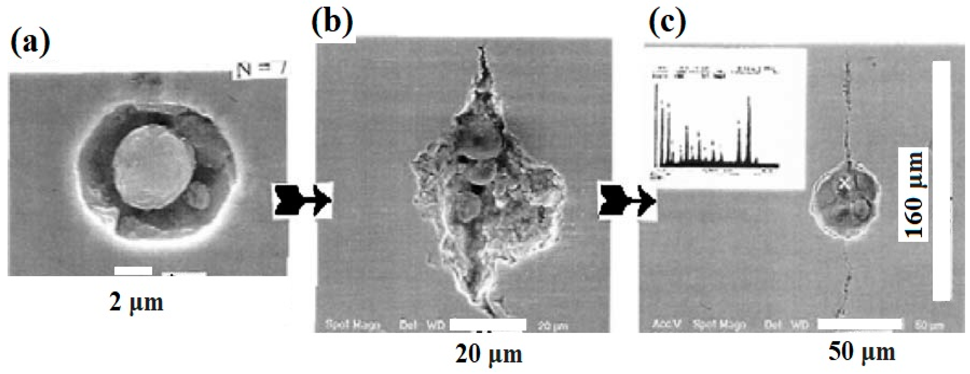 Metals 09 00590 g005