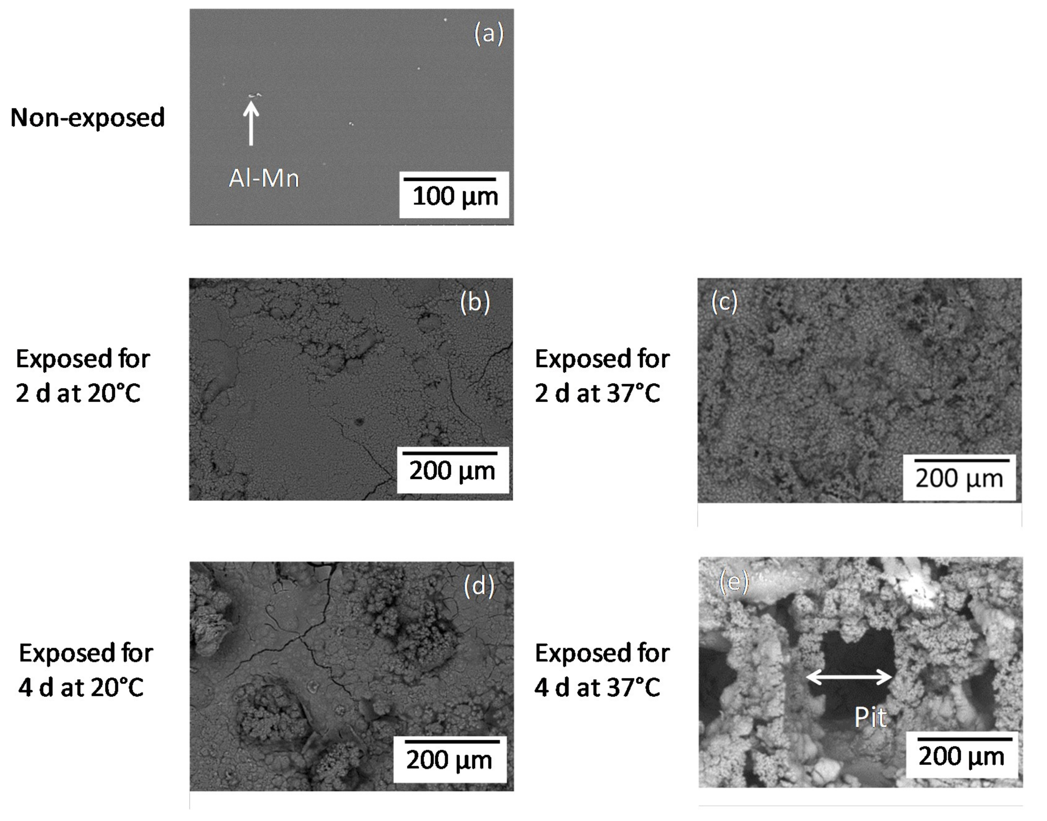 Metals 09 00591 g001
