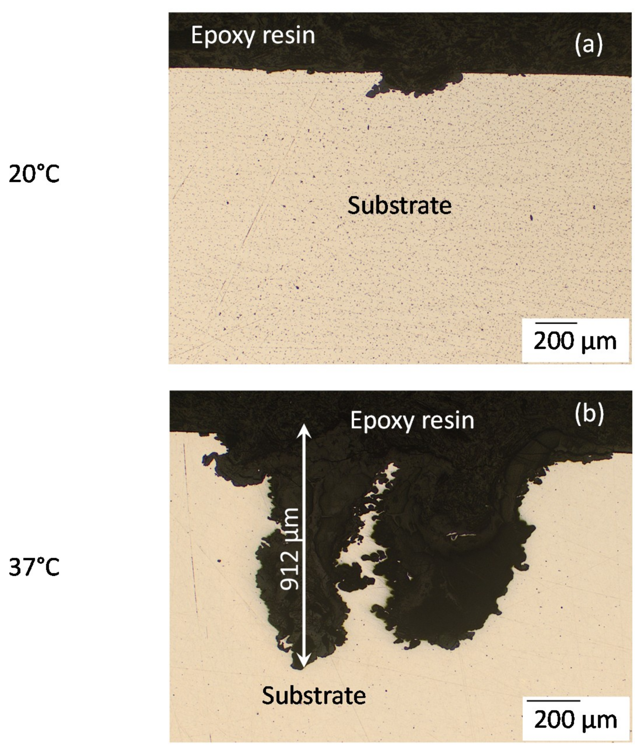 Metals 09 00591 g005