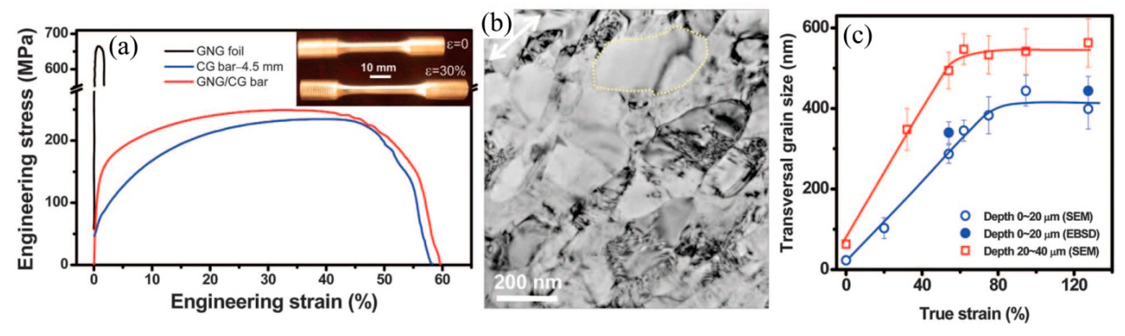 Metals 09 00598 g005