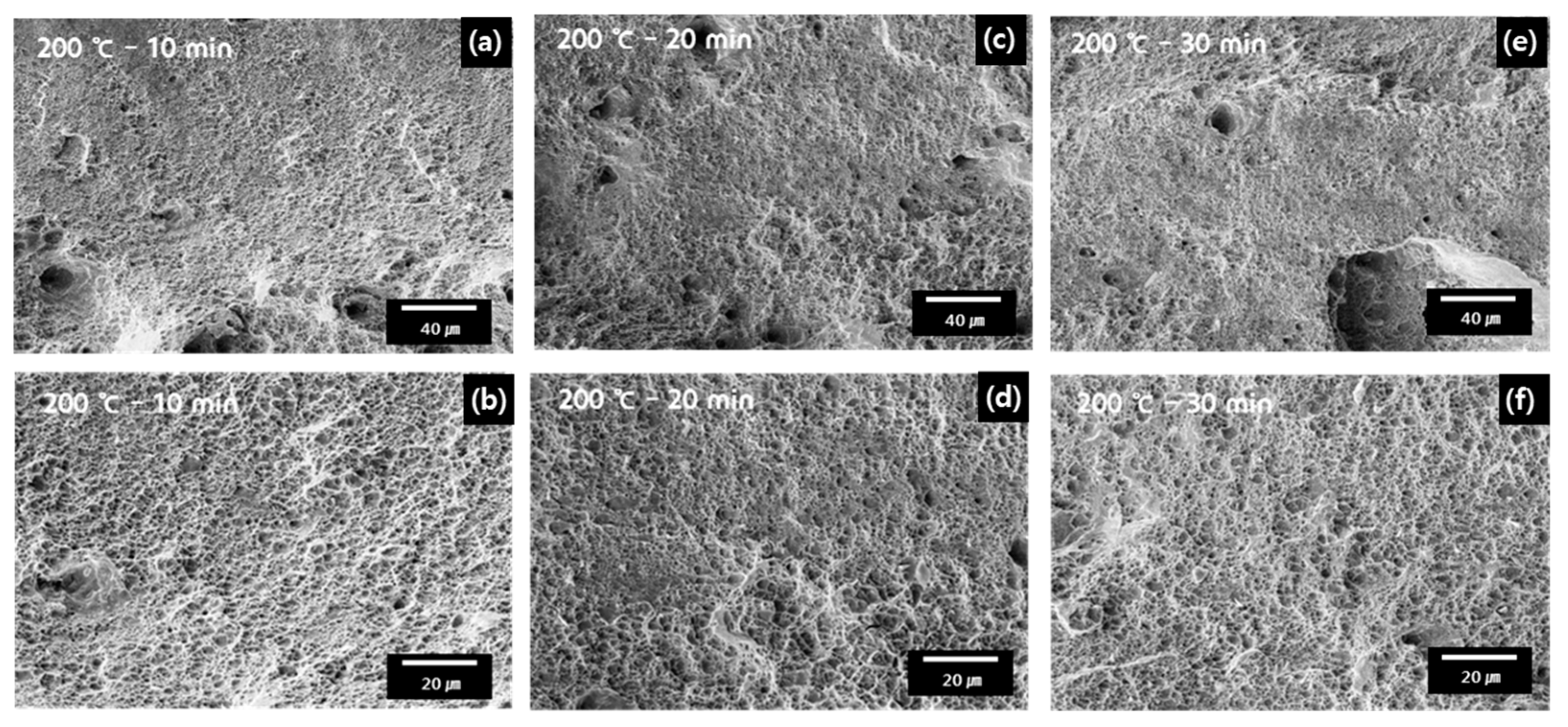 Metals 09 00636 g009