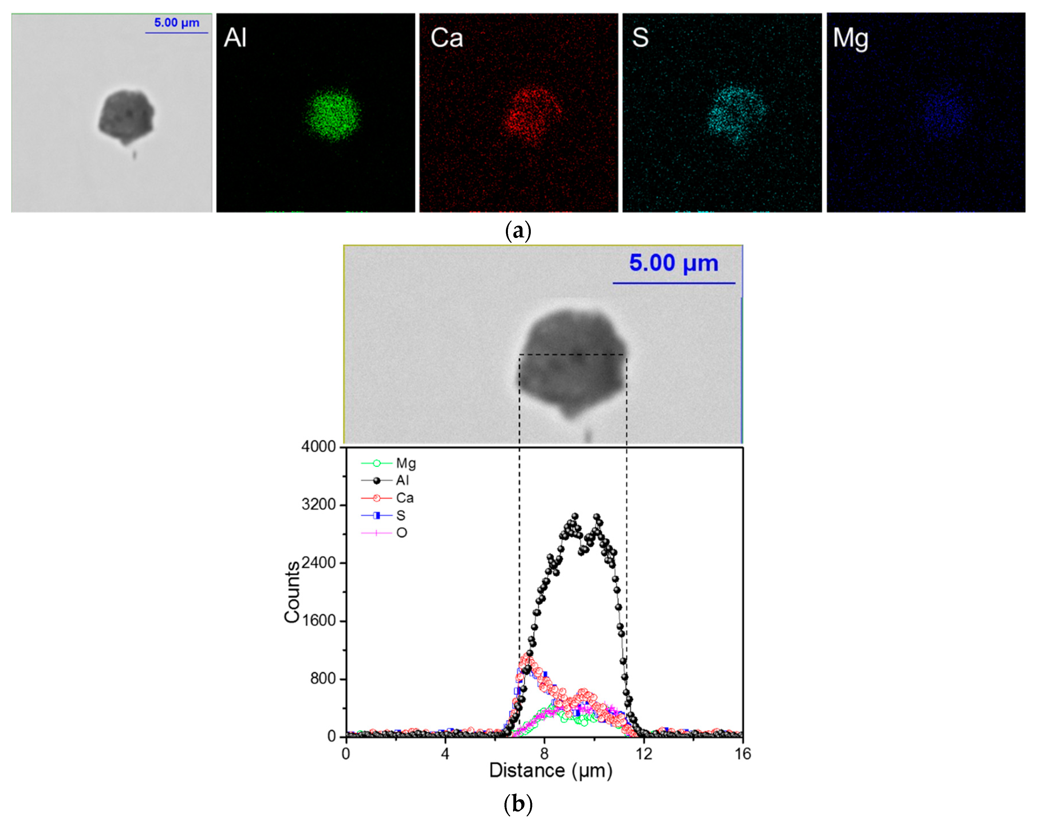 Metals 09 00642 g006