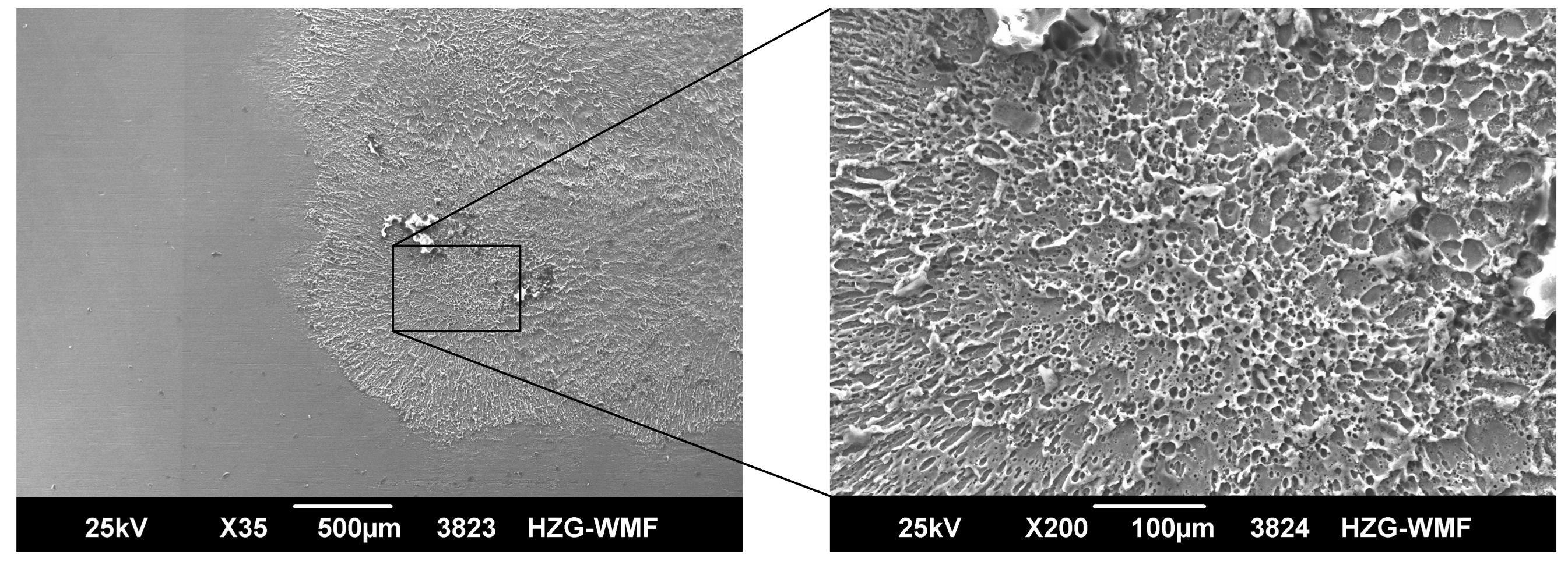 Metals 09 00655 g010