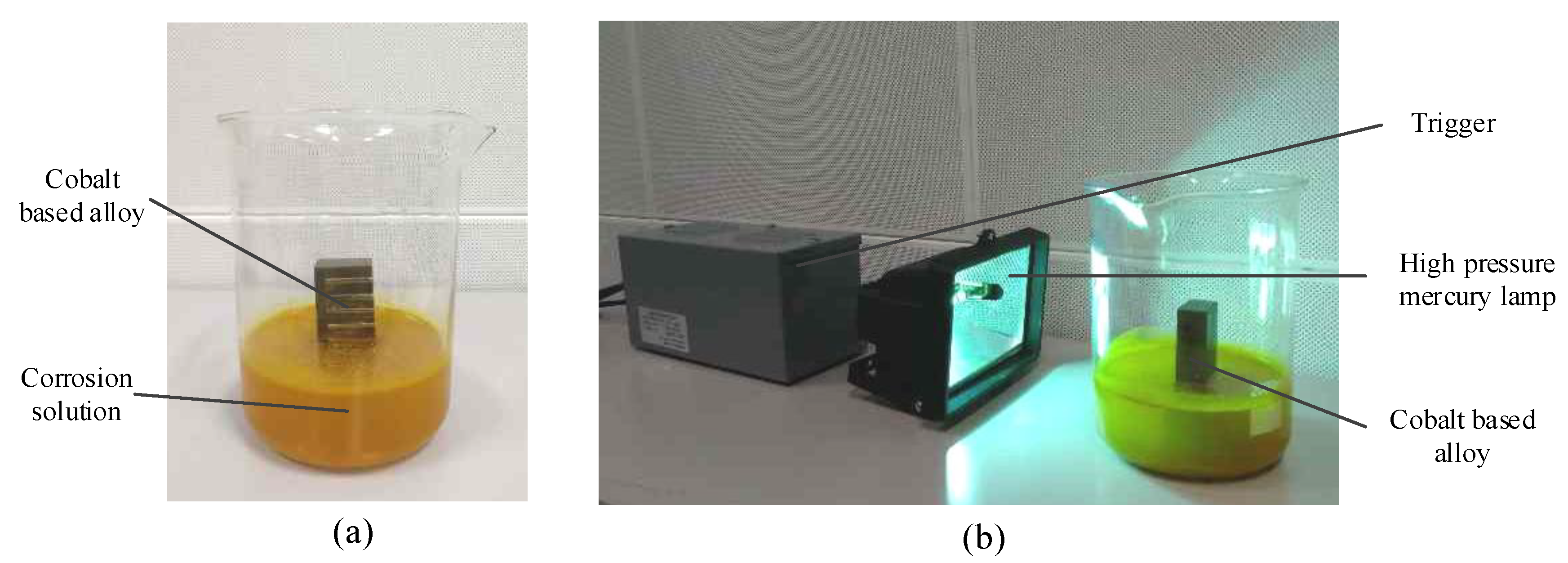 Metals 09 00657 g002