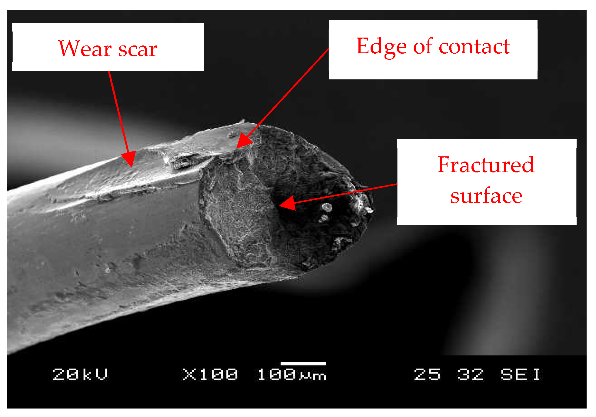 Metals 09 00674 g001