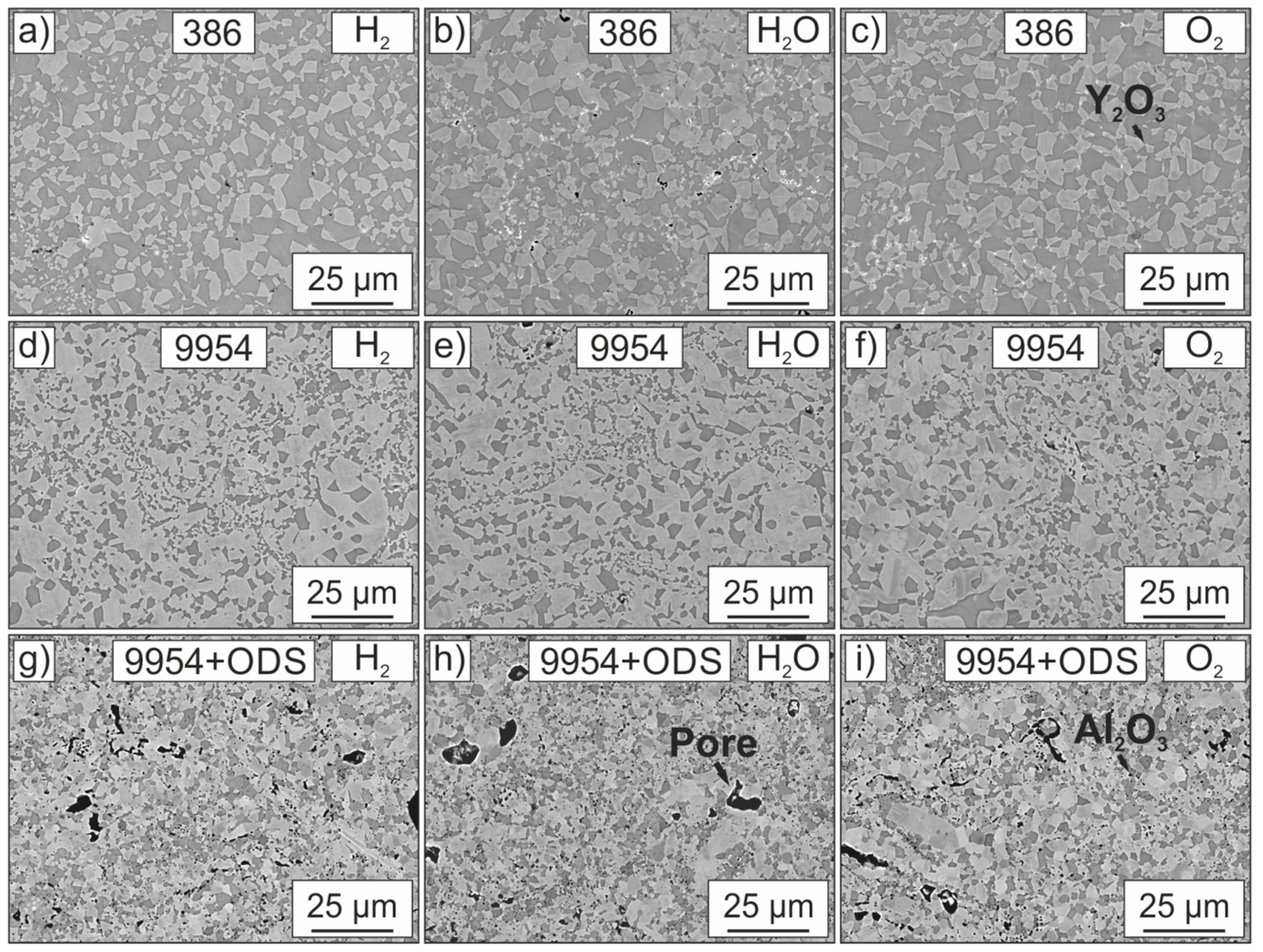 Metals 09 00692 g002