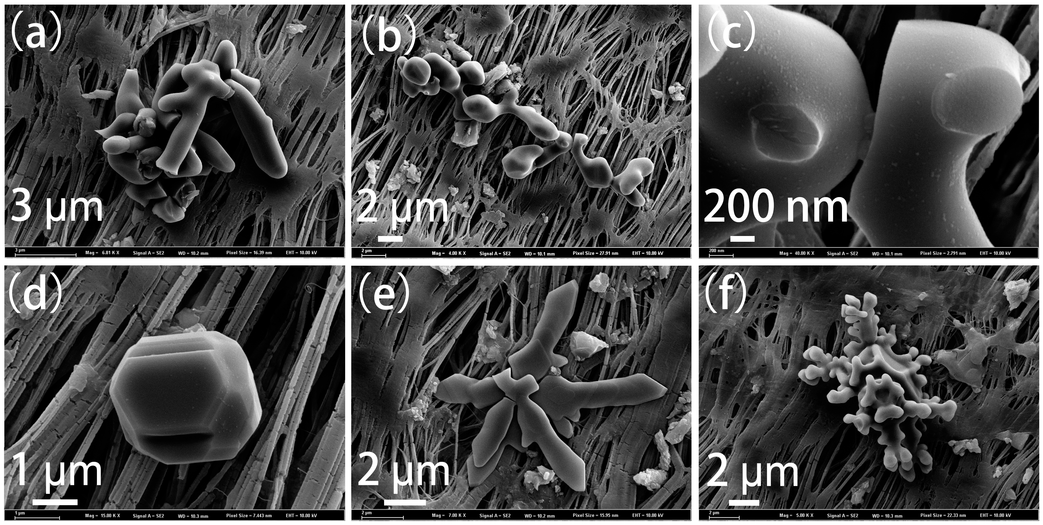 Metals 09 00702 g007