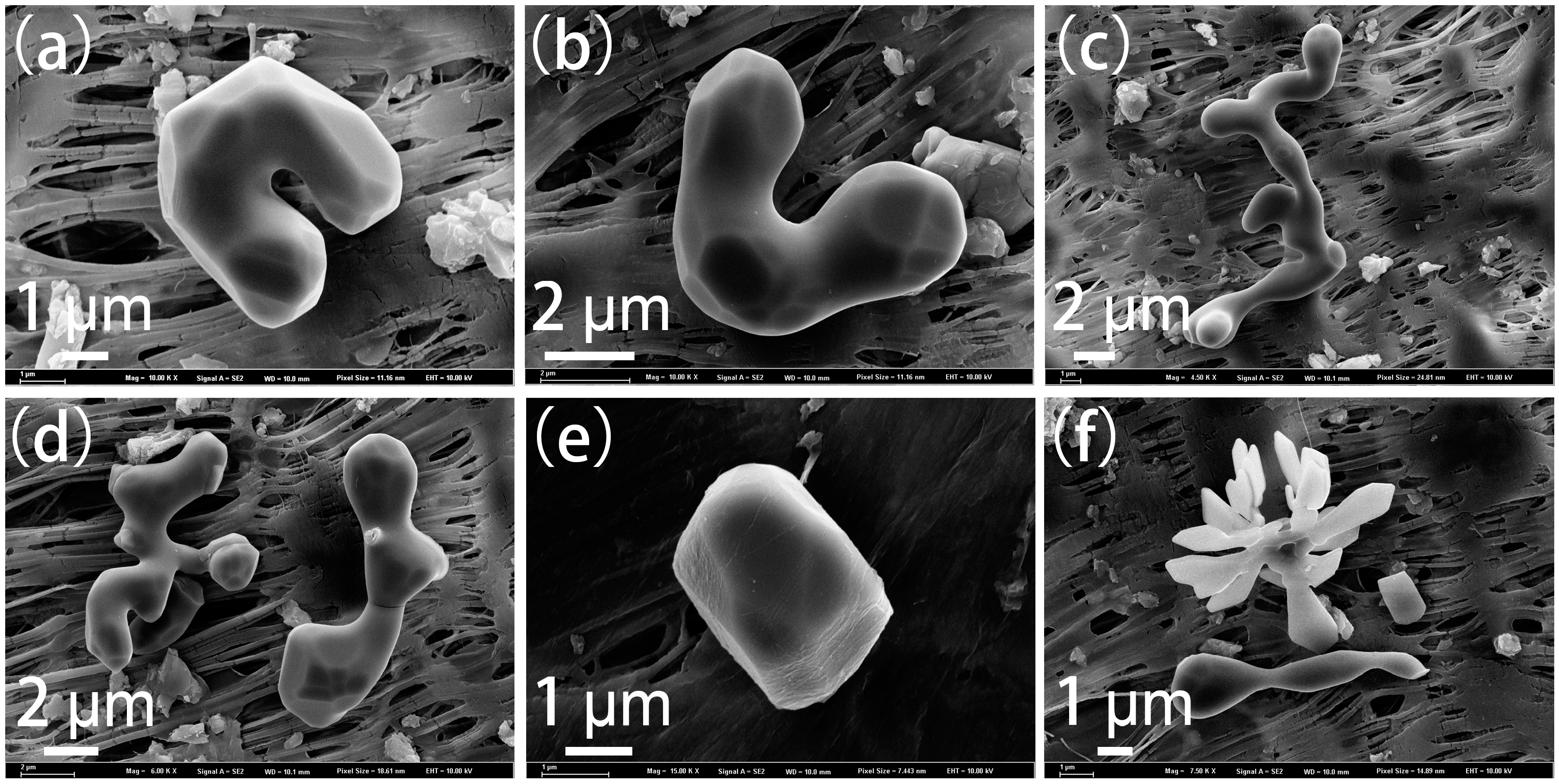 Metals 09 00702 g008