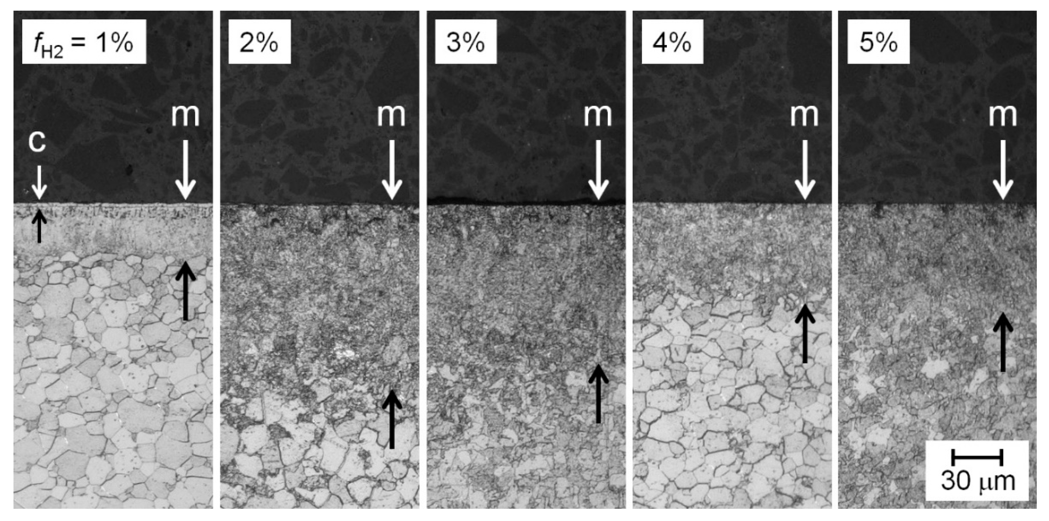 Metals 09 00714 g010