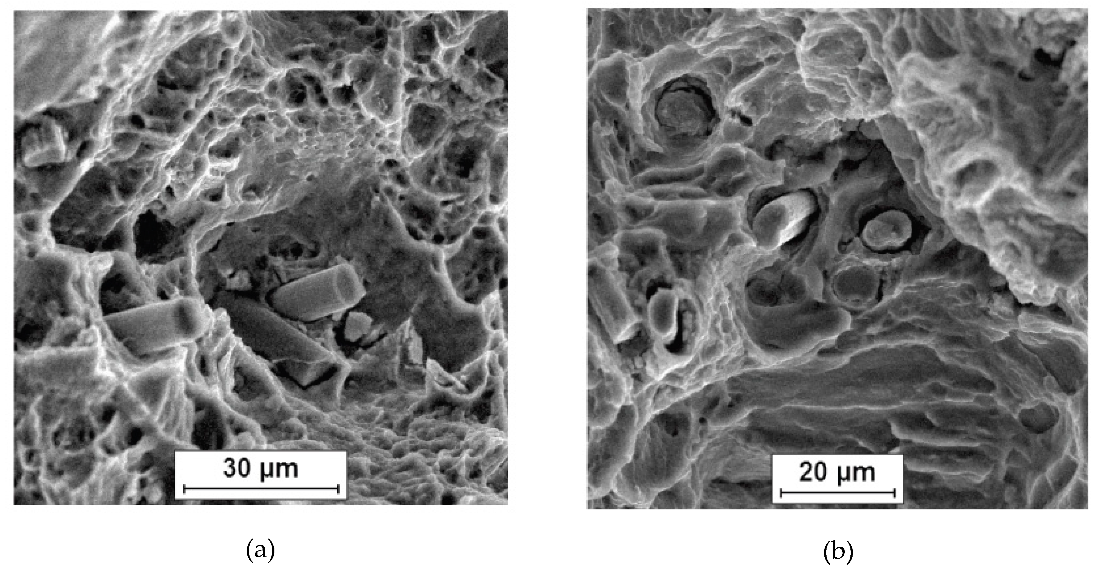 Metals 09 00724 g005