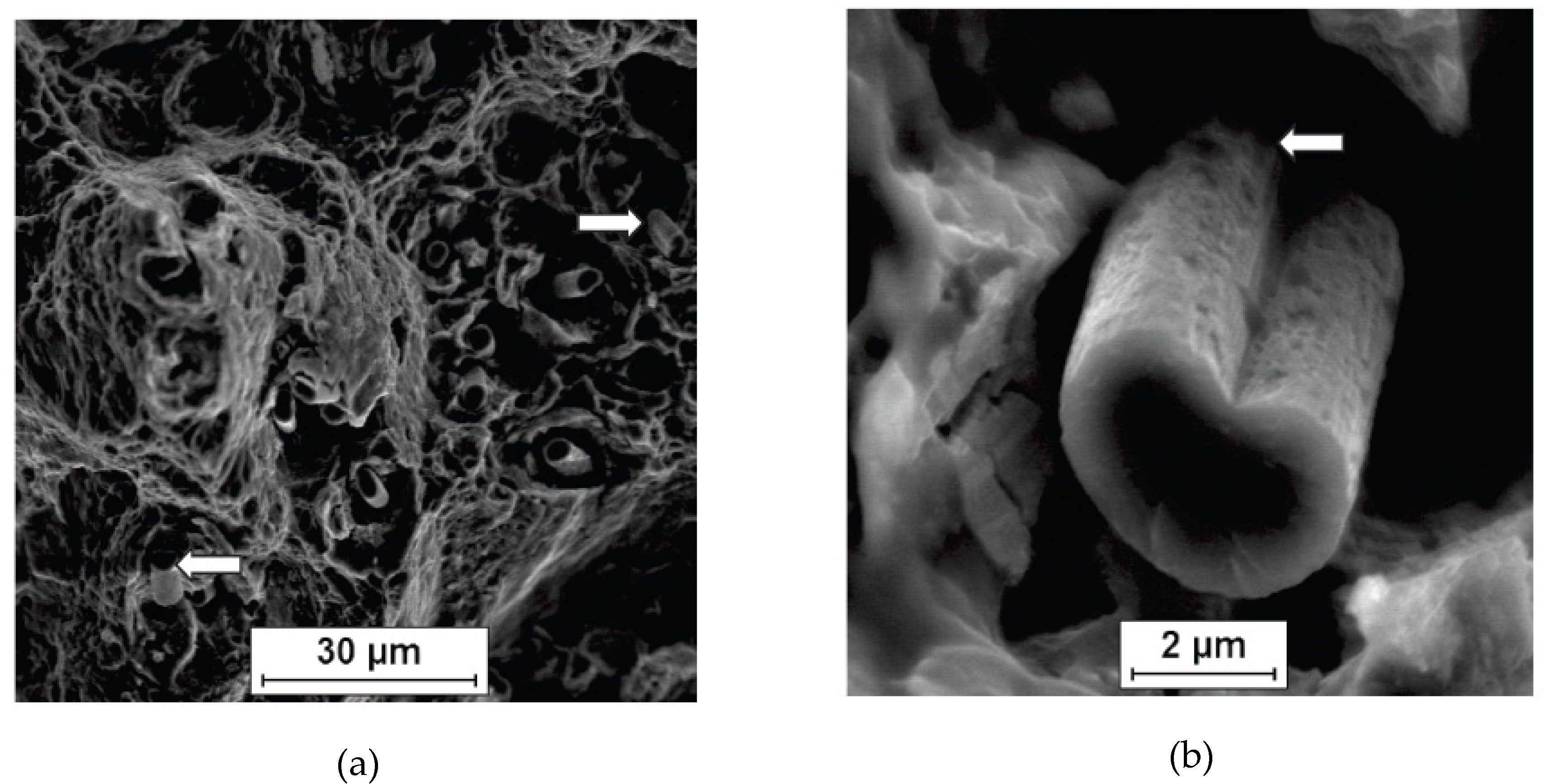 Metals 09 00724 g006