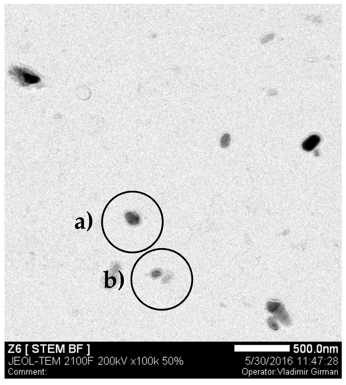 Metals 09 00752 g014