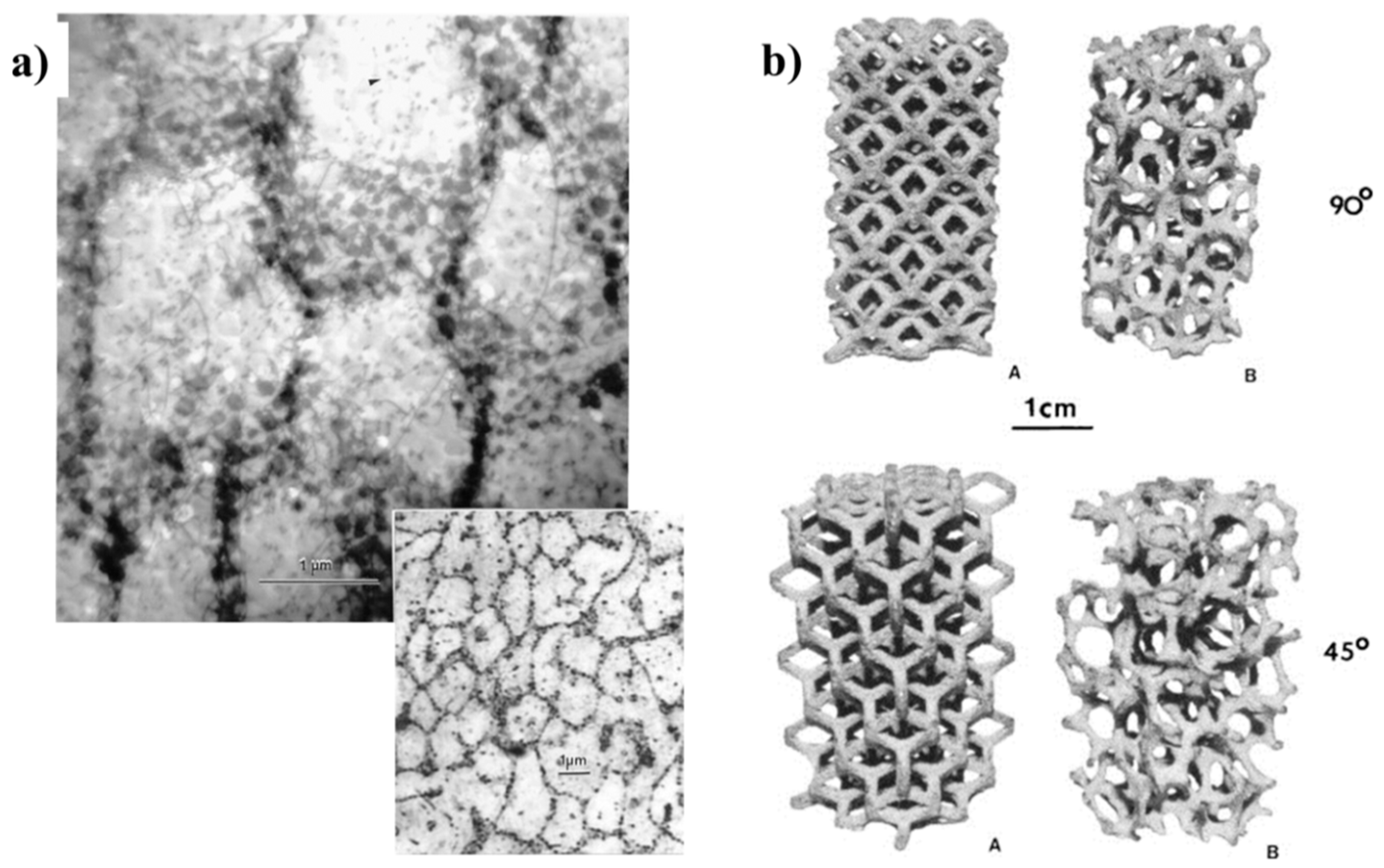 Metals 09 00756 g007