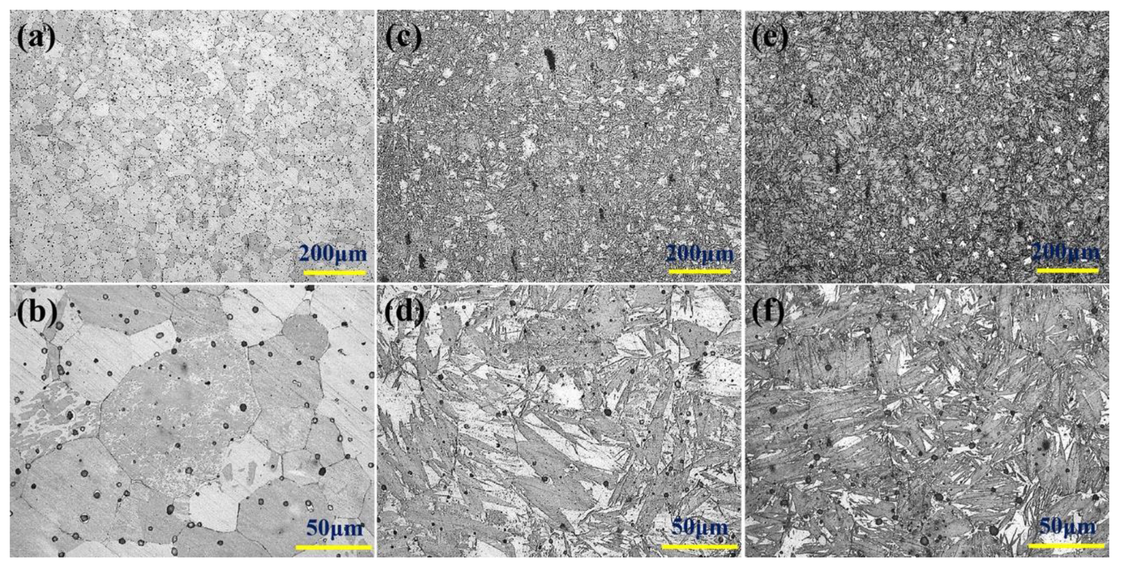 Metals 09 00785 g002