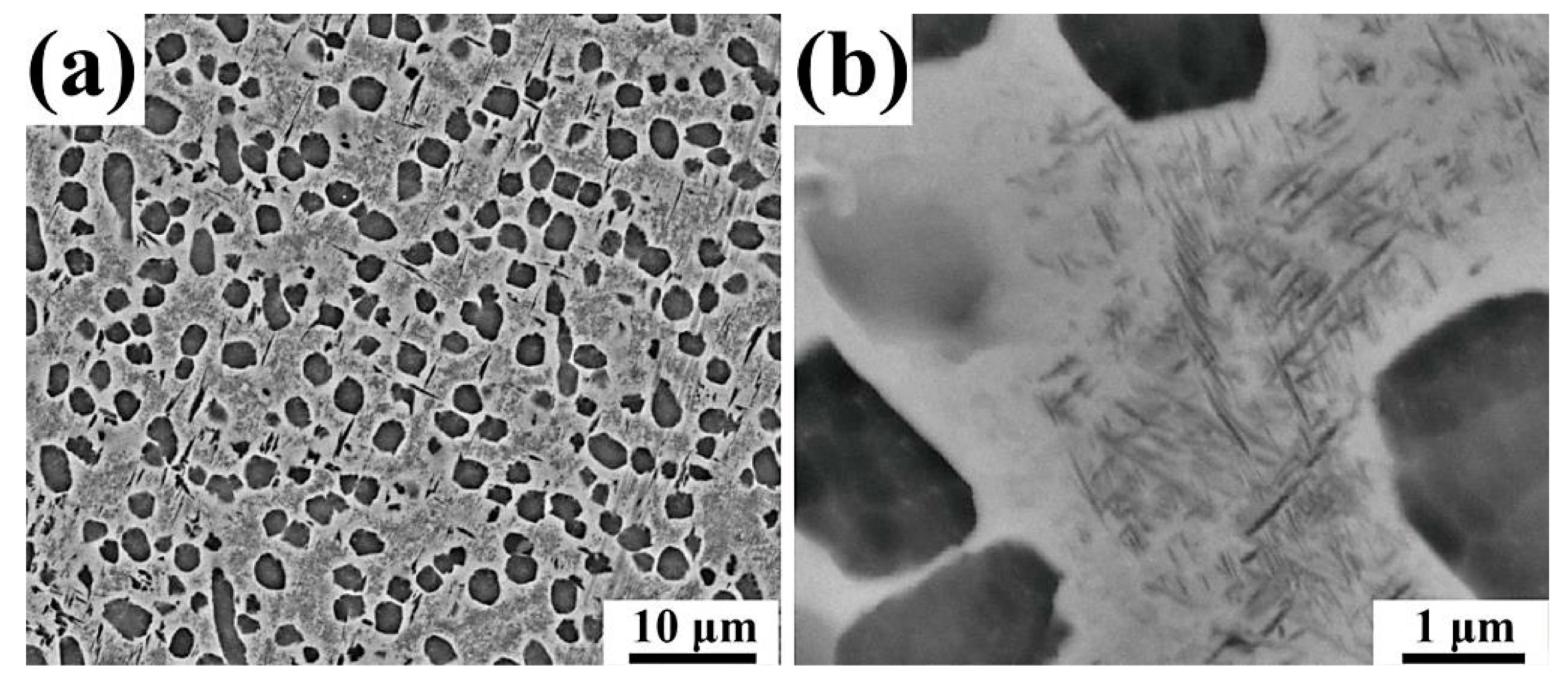 Metals 09 00790 g001