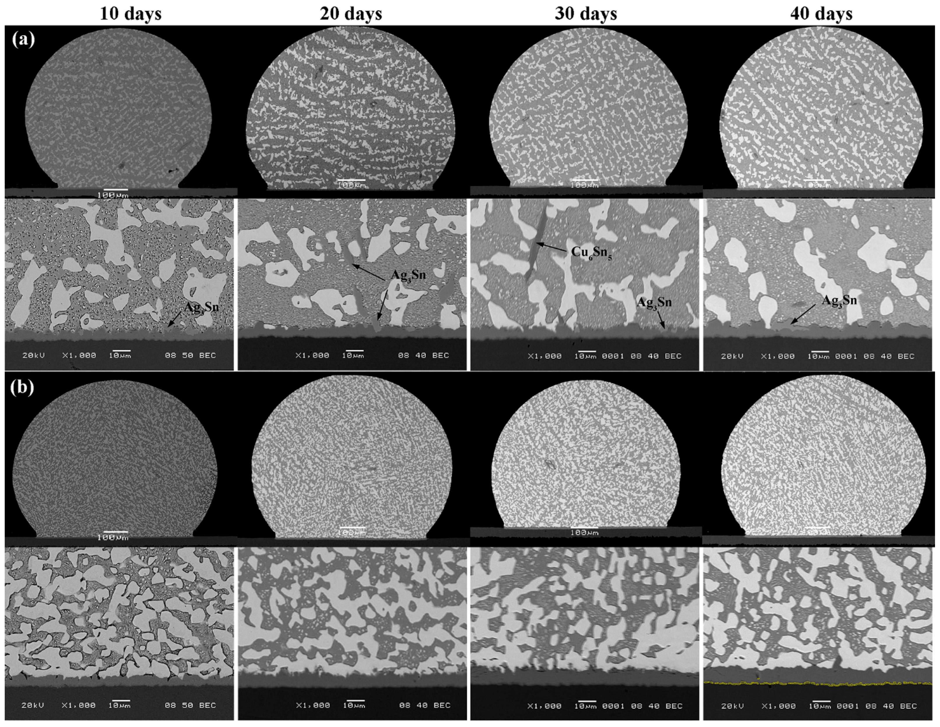 Metals 09 00791 g004