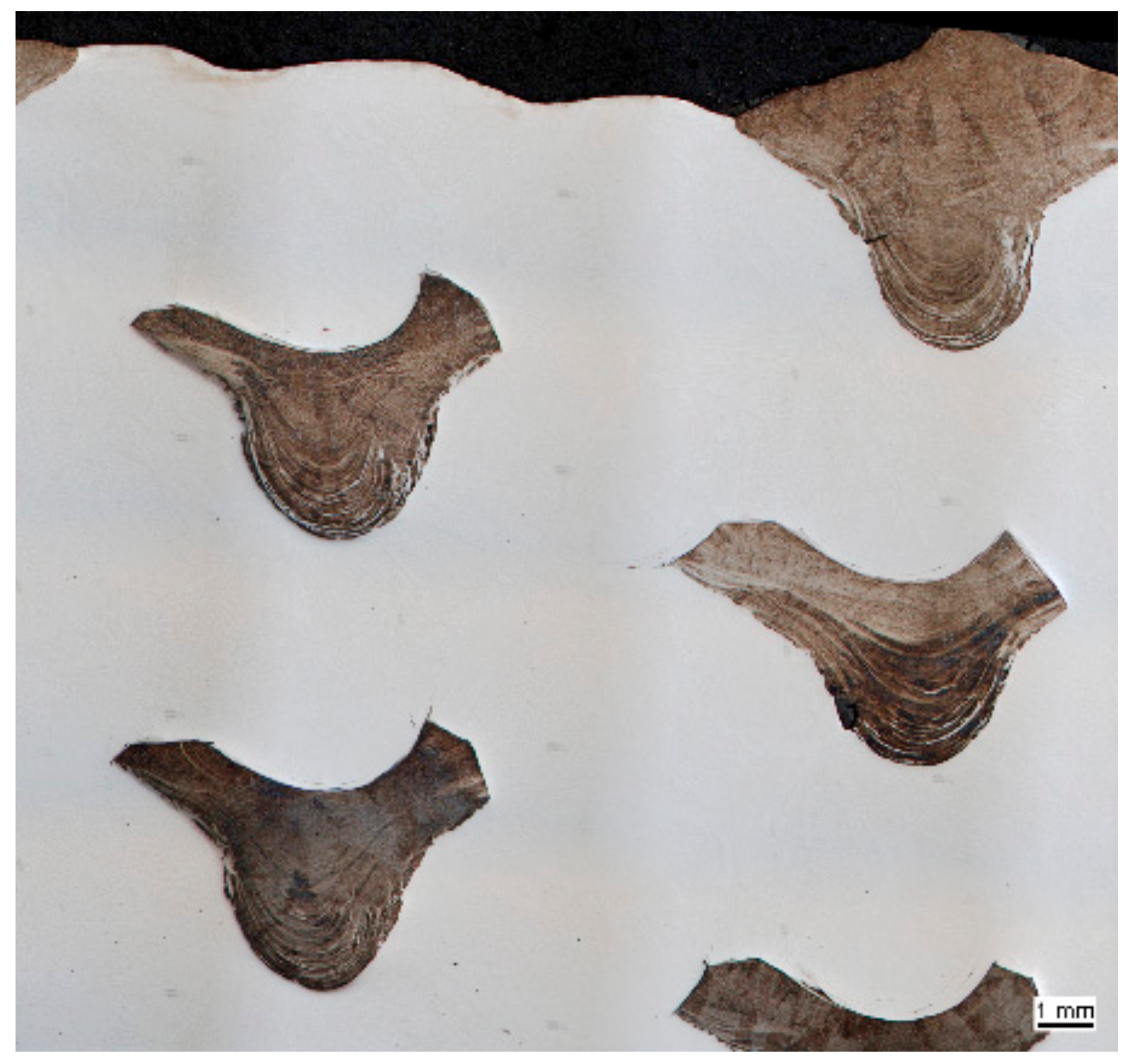 Metals 09 00809 g004