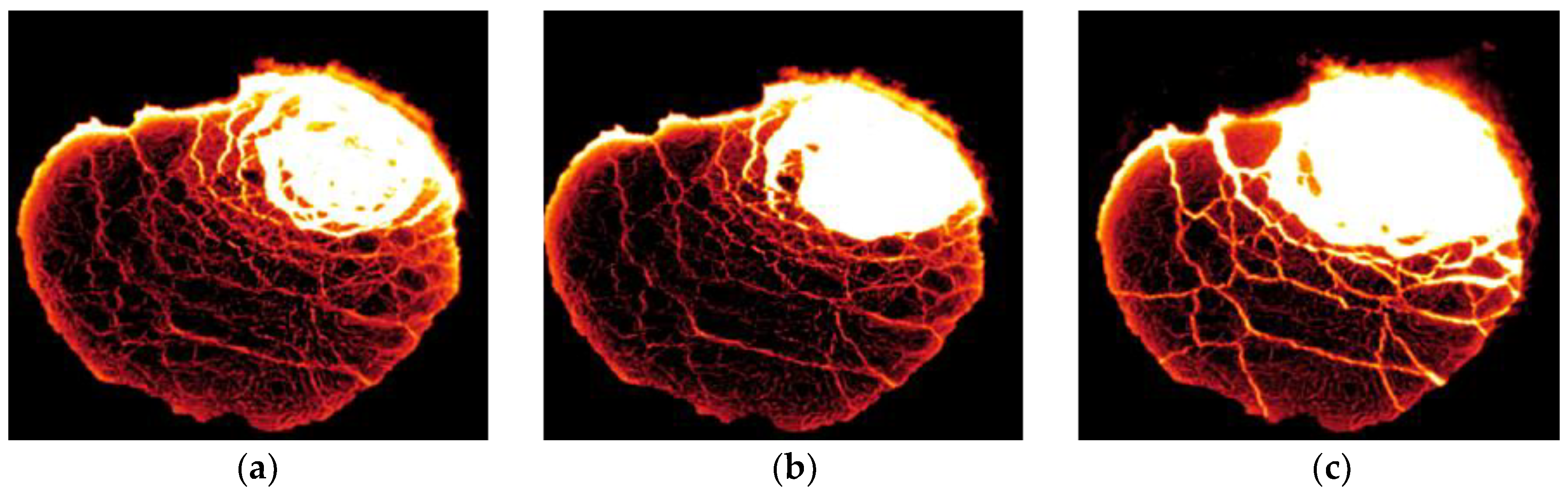 Metals 09 00829 g002