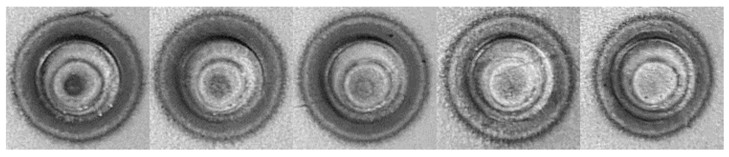 Metals 09 00831 g007 Metals 09 00831 g007