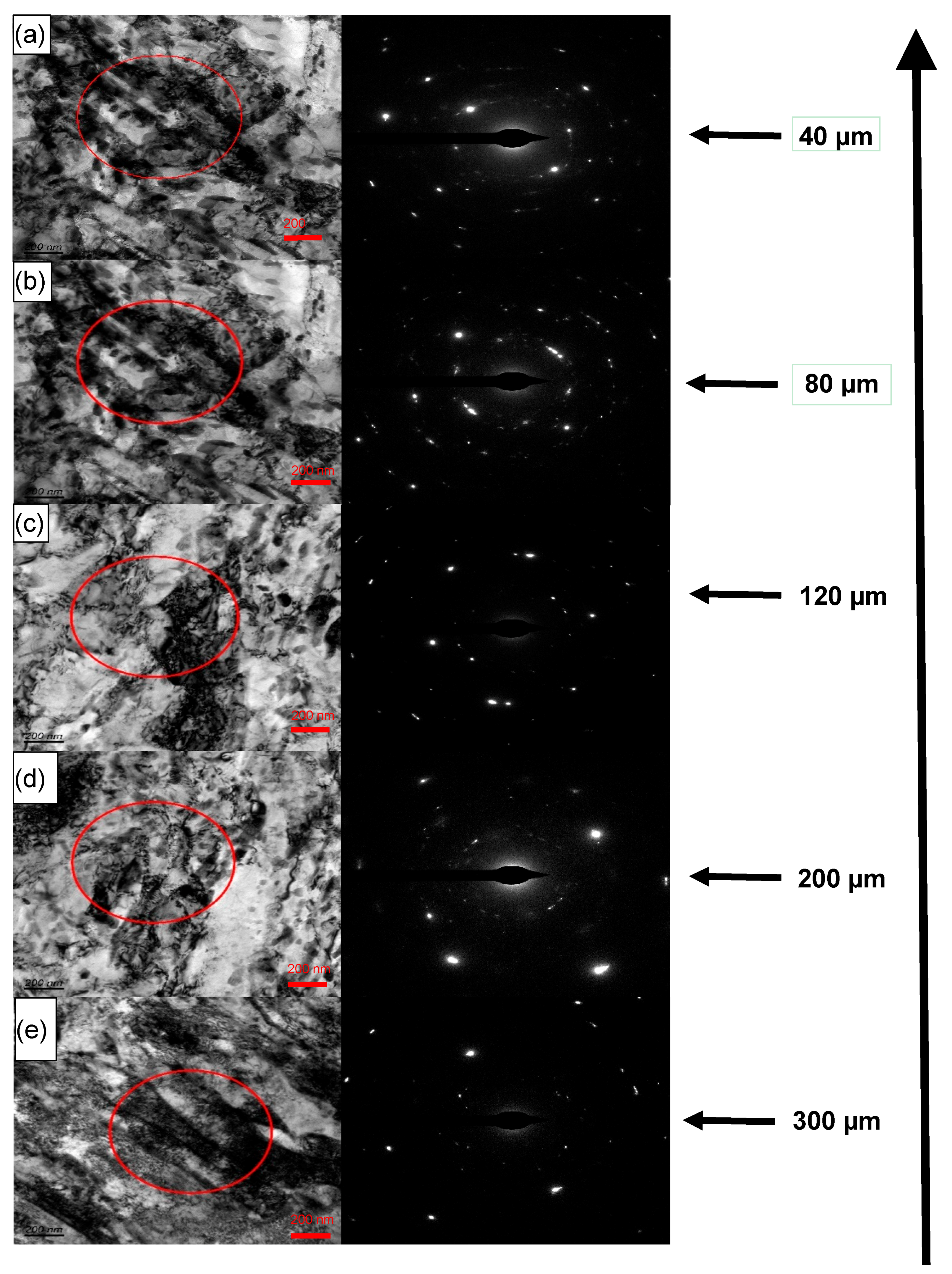 Metals 09 00856 g010