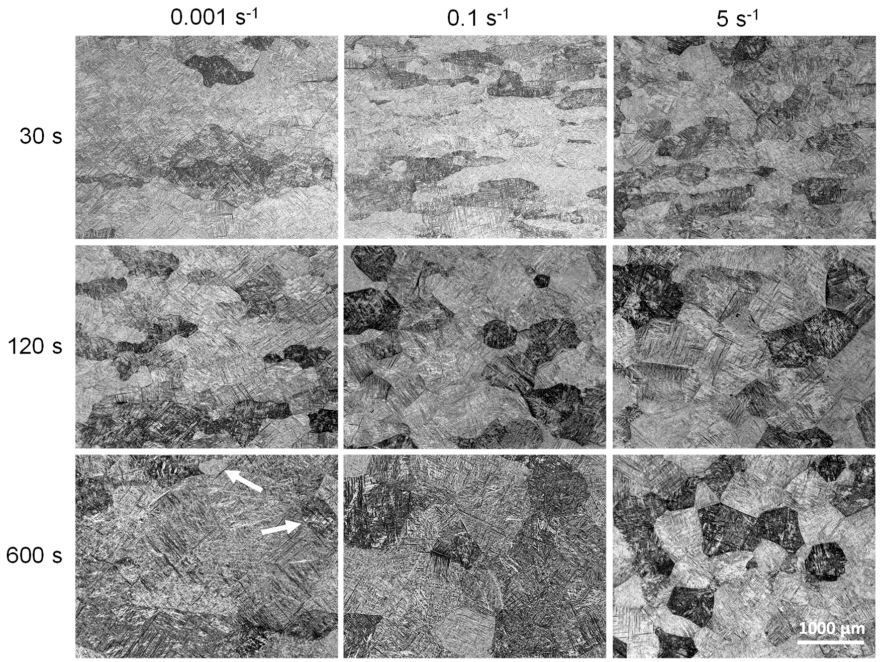 Metals 09 00862 g007