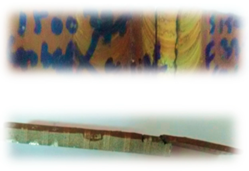 Metals 09 00875 i003