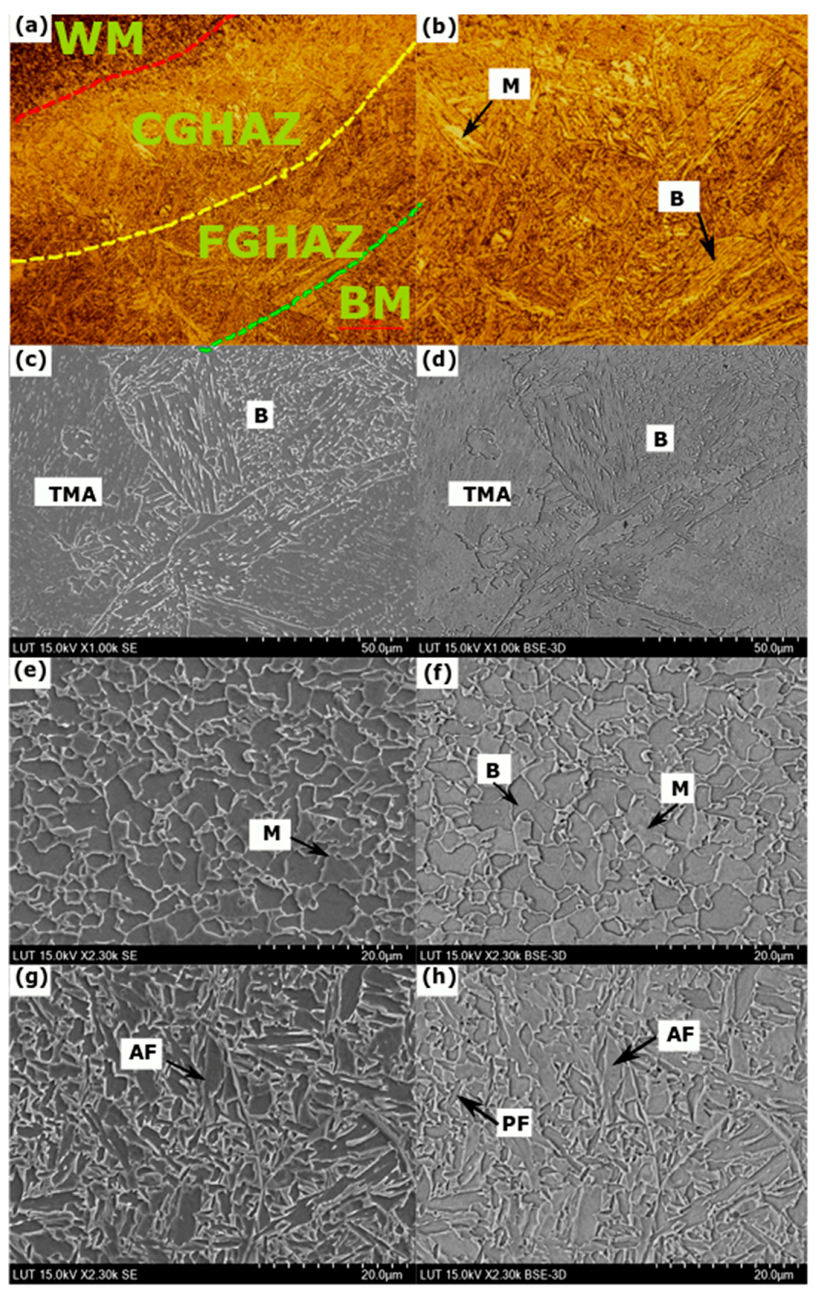 Metals 09 00883 g009