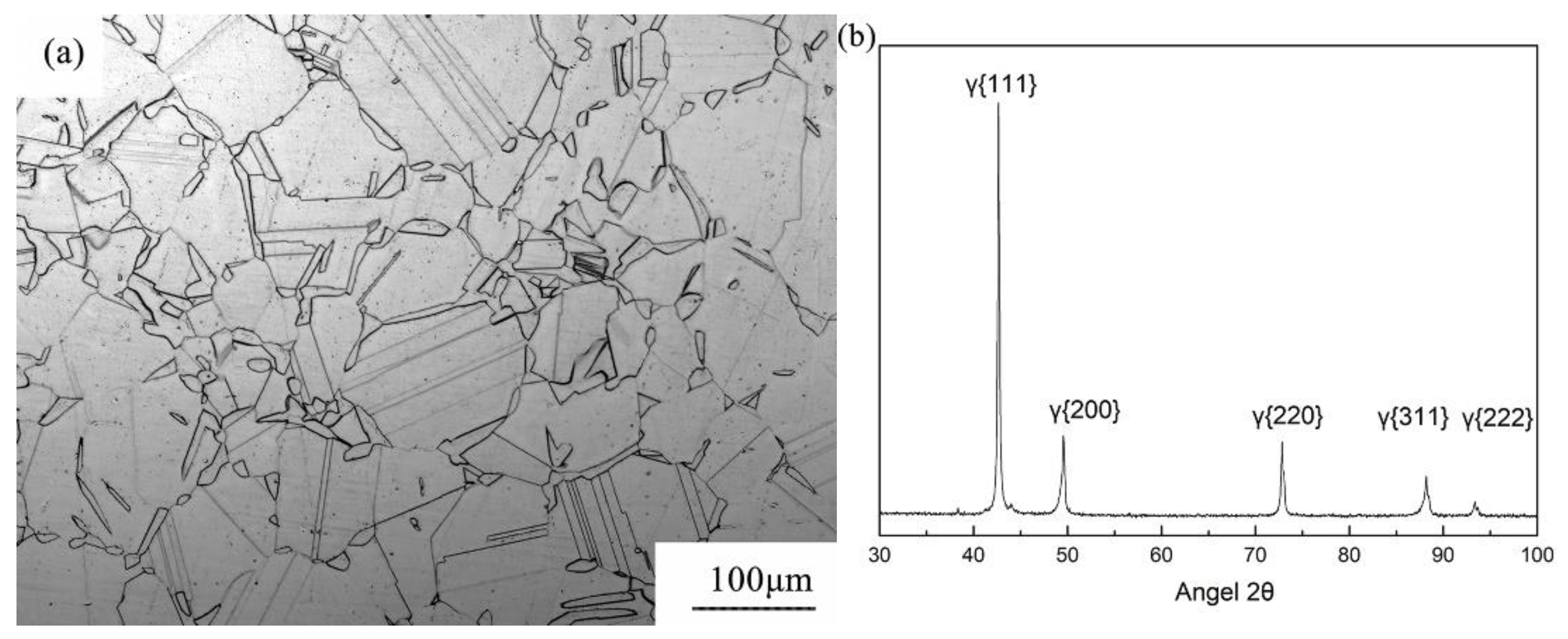 Metals 09 00897 g001