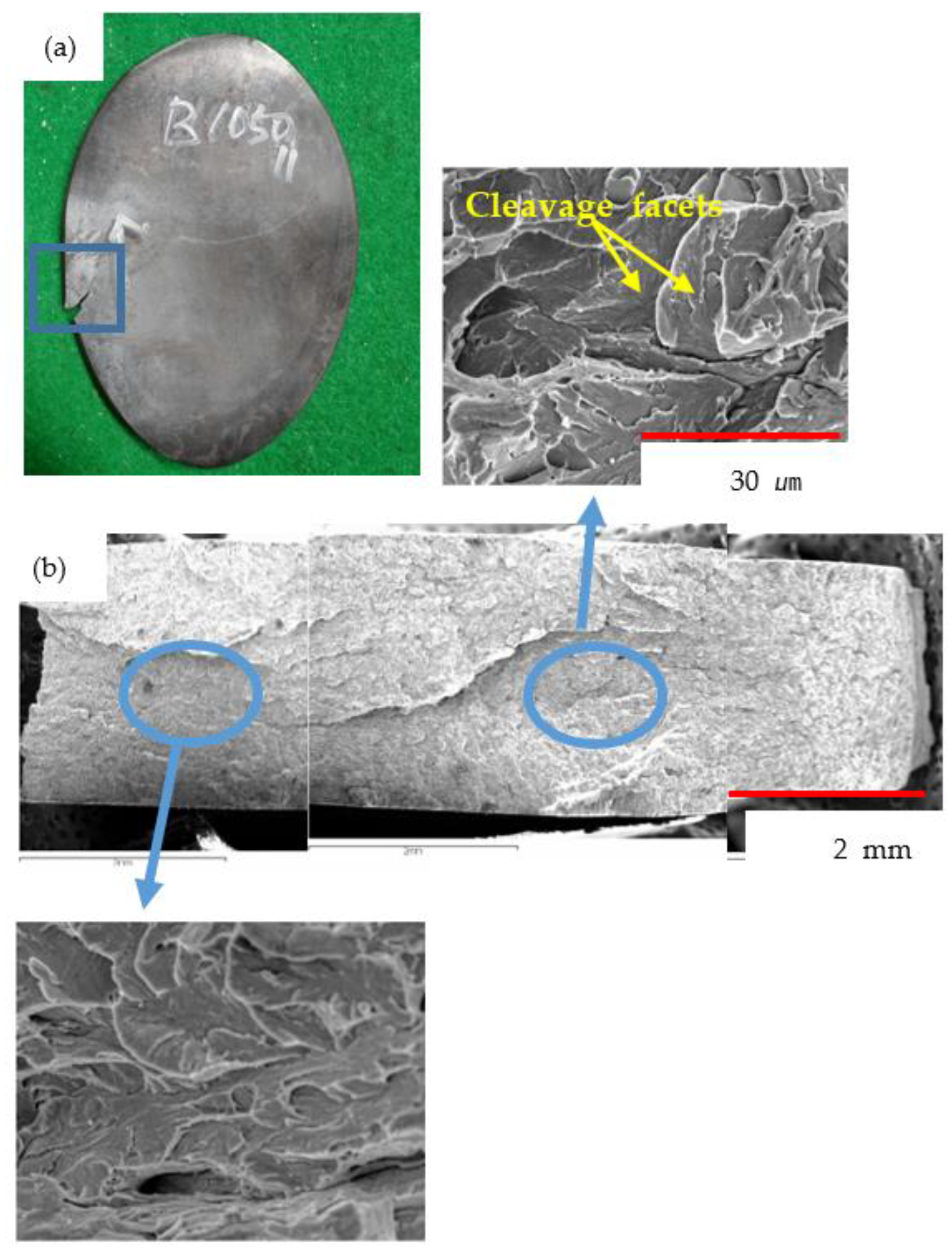 Metals 09 00904 g003